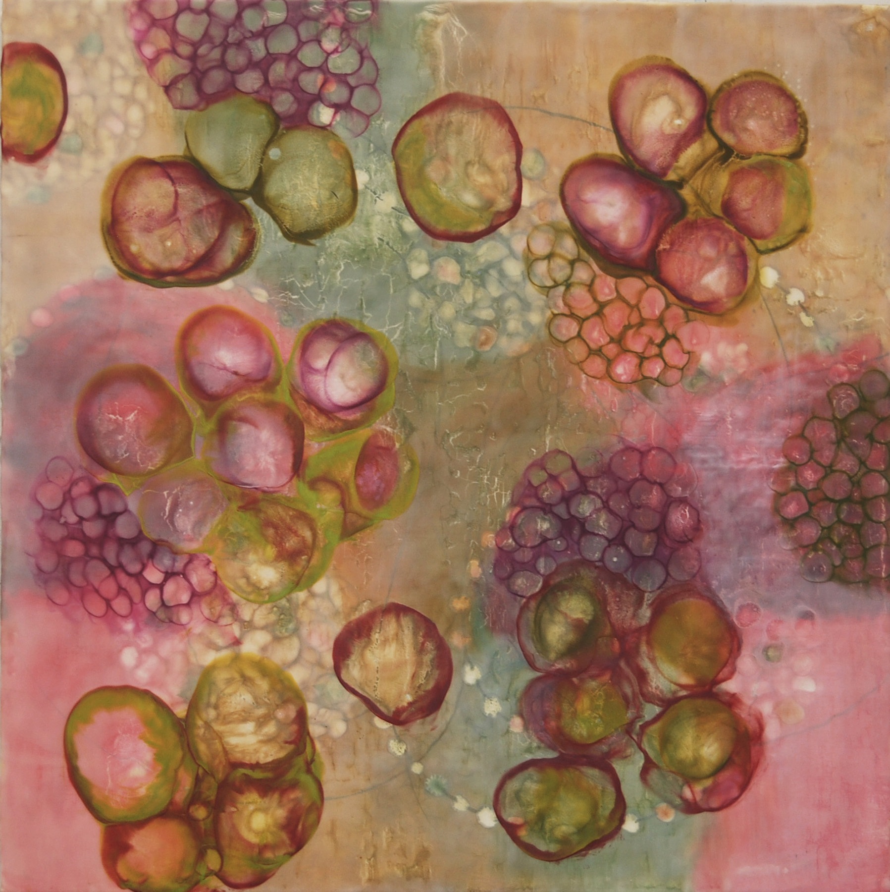   Kay Hartung ,  Bio Flow 5 , encaustic, pastel, pigment stick on panel, 30x30 