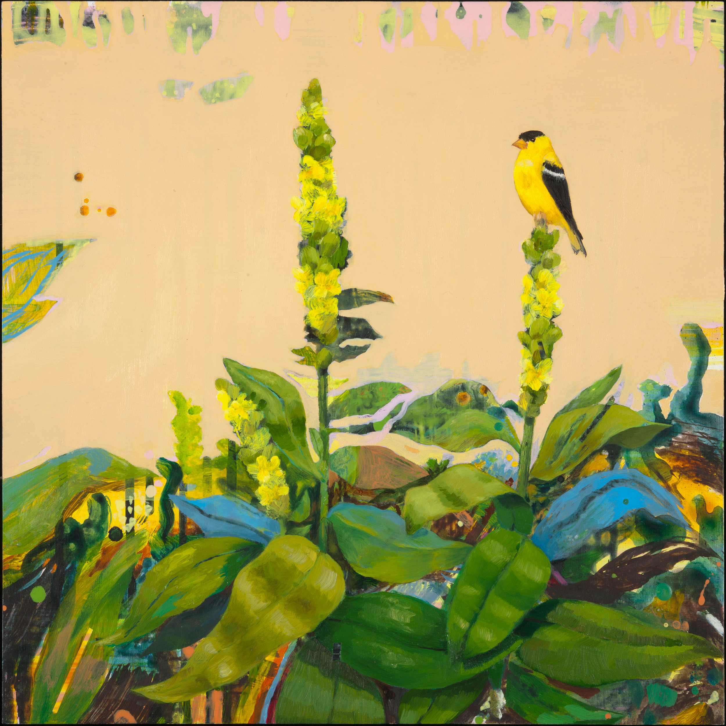    Anne SargentWalker,   Mullein with Goldfinch,  Oil, acrylic on wood panel, 16" x 16"  