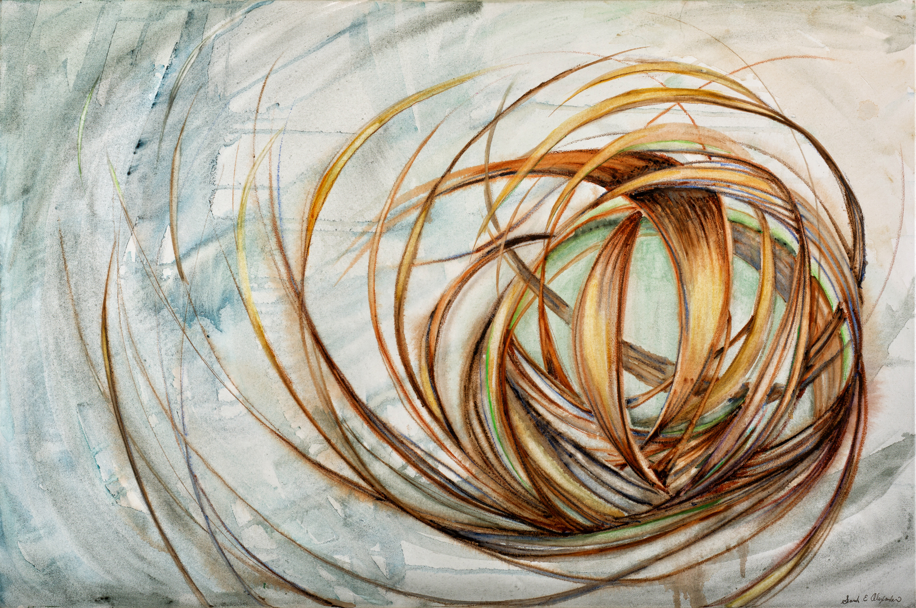 Flutter , watercolor on canvas, 24" x 36"