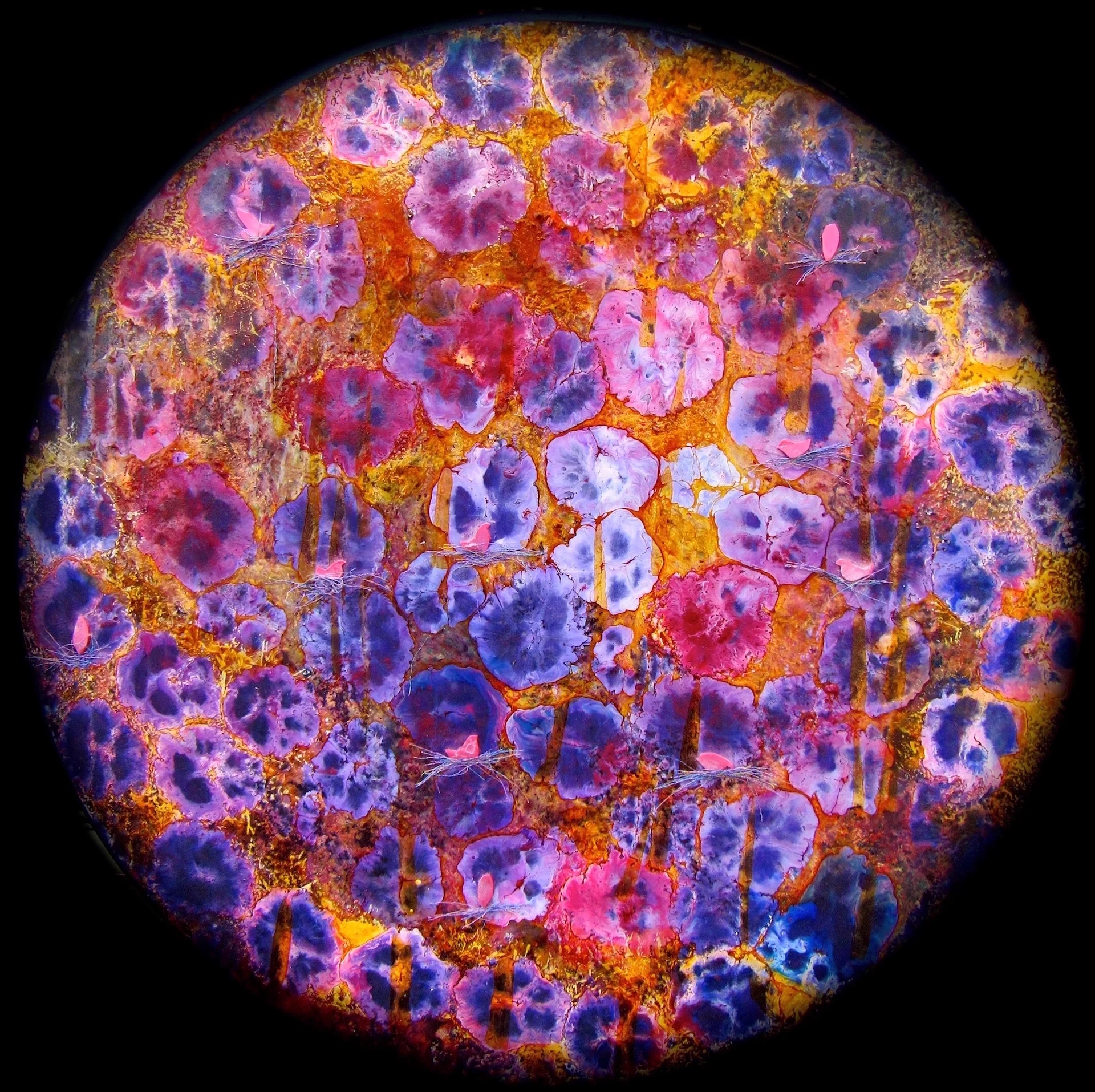 Pamela DeJong, Portals, Encausitc, mixed media on milled pine, 24"