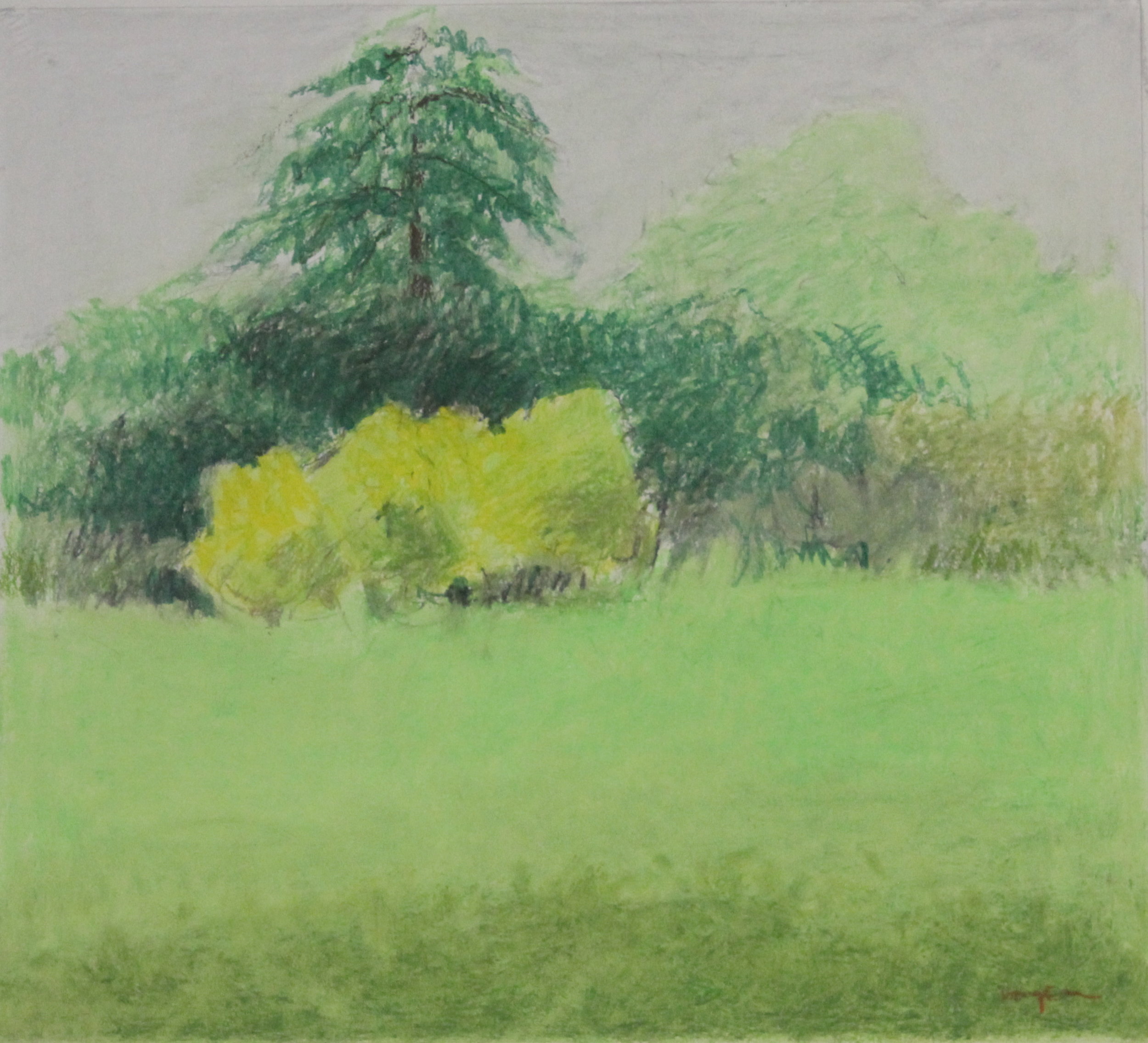 Untitled pastel on paper no.10- 19.5x18%22 .JPG