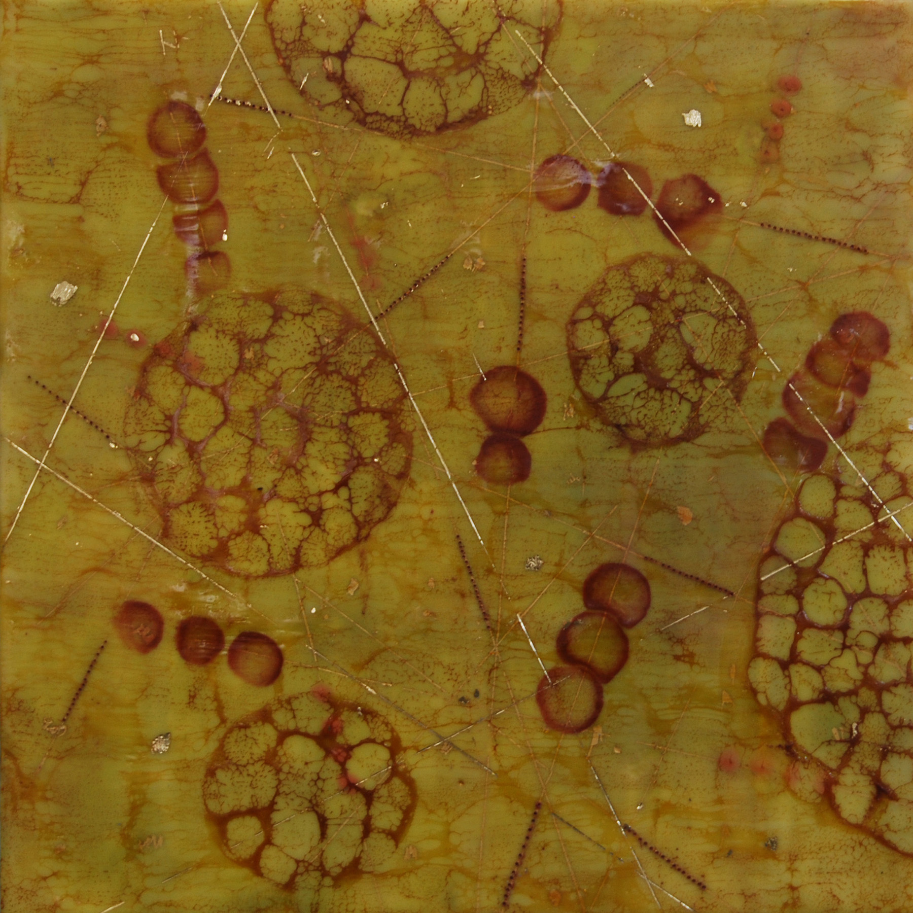  Kay Hartung,  Bio Pathways 2 , encaustic and mixed media, 16x16 