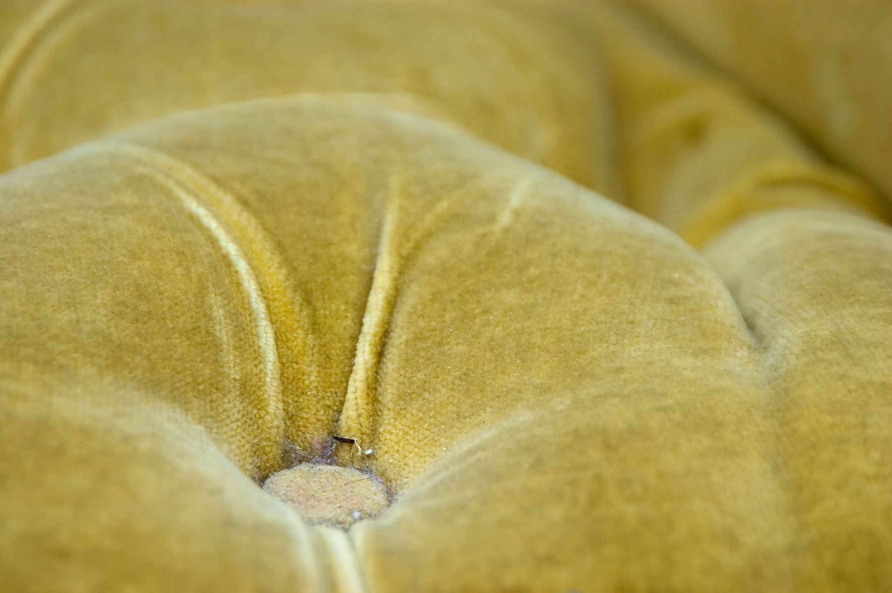 Marie Craig, Hint of Opulence , archival pigment print on sintra, edition of 6, 24x36
