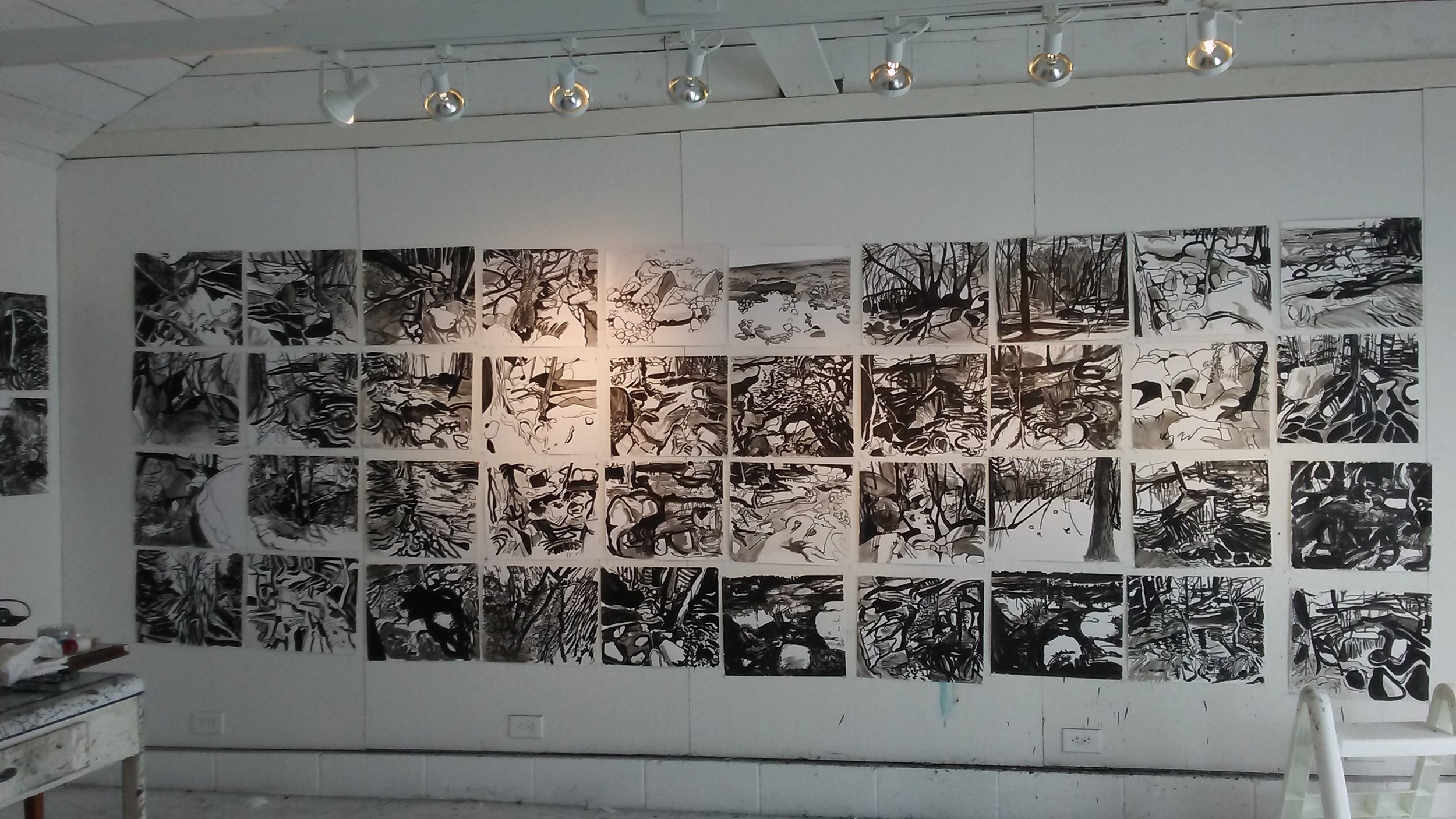 Ink Drawings.jpg