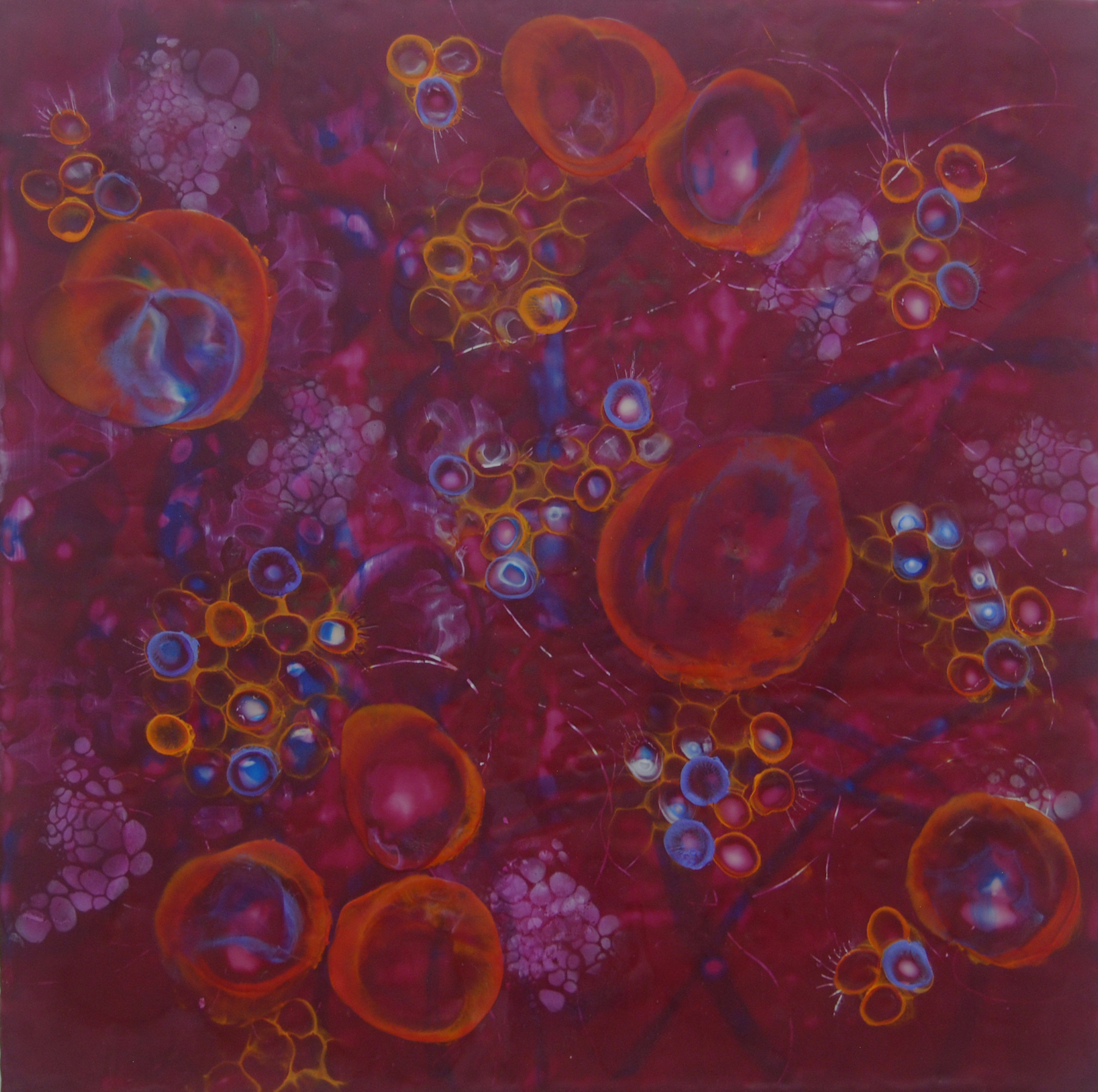  K. Hartung,  Bio Layers 1 , encaustic and mixed media, 24x24 