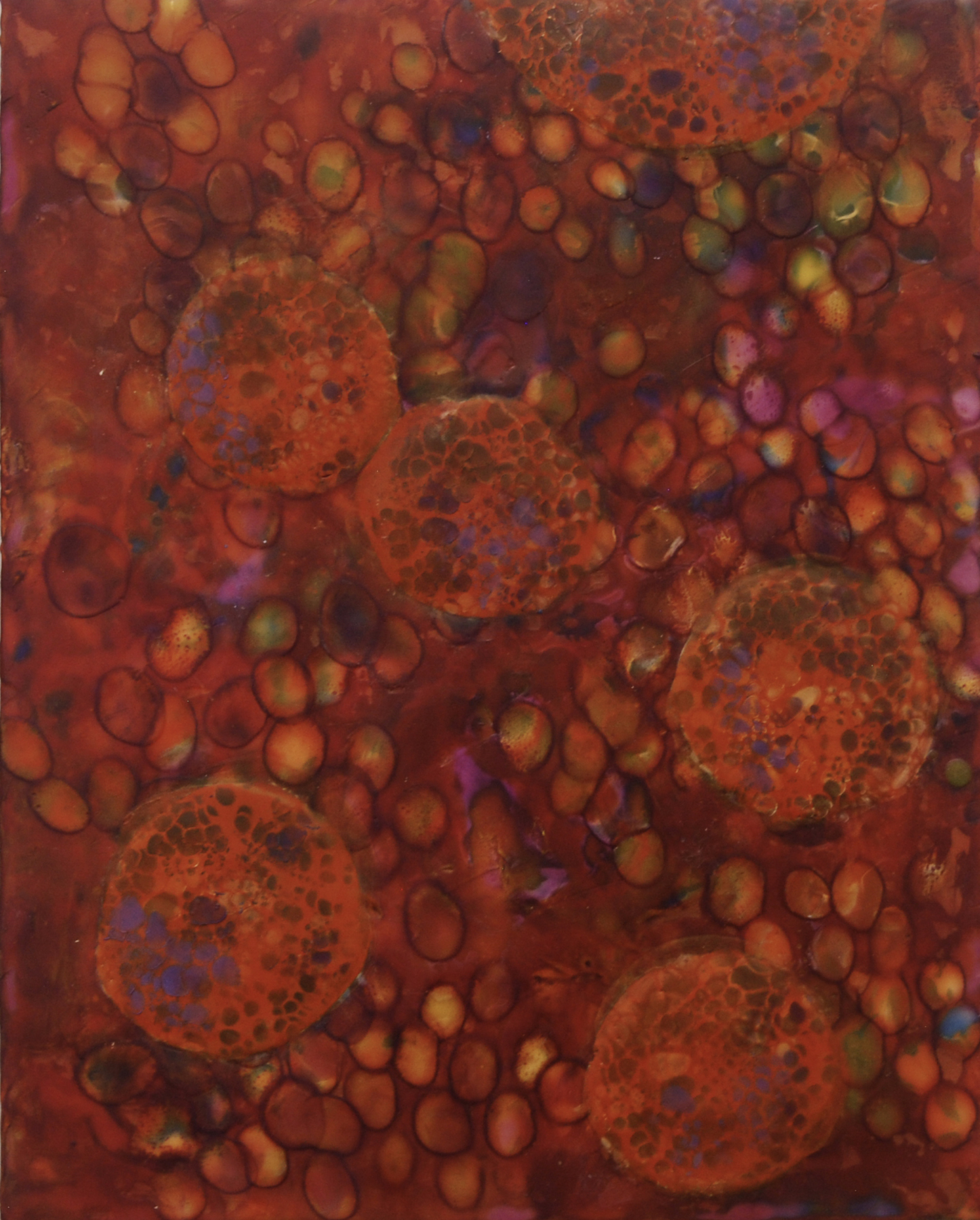 K. Hartung, Bio Layers 3 , encaustic and mixed media, 16x20