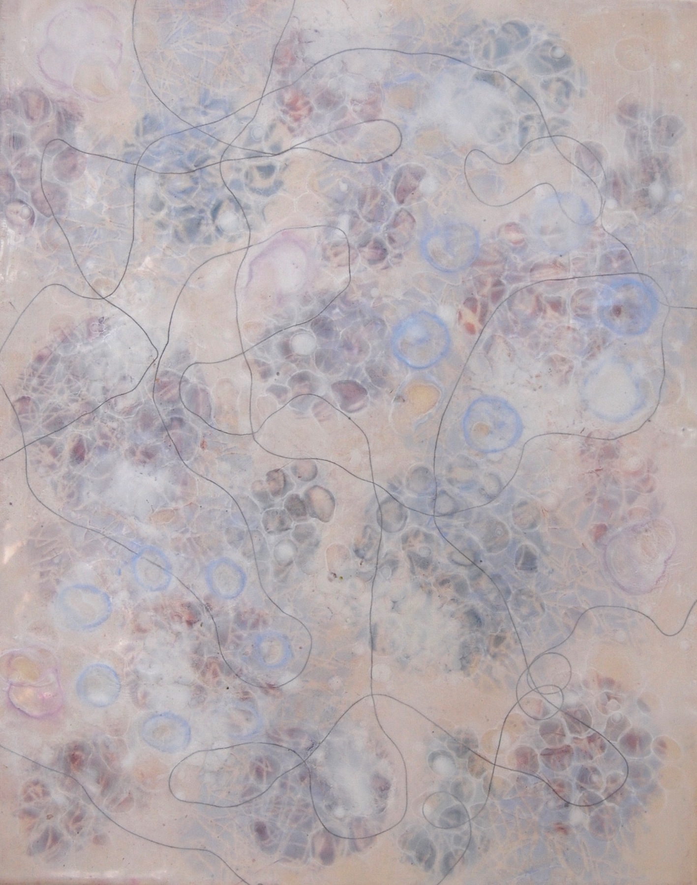  K. Hartung,  Bio Shadows 4 , encaustic and mixed media, 20x16 