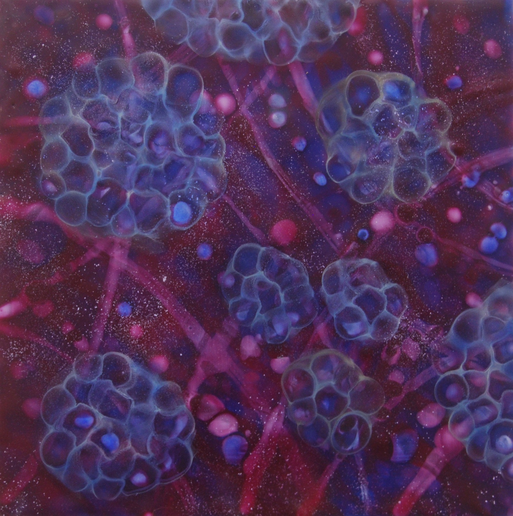  K. Hartung,  Cell Migration 4 , encaustic and mixed media, 12x12 