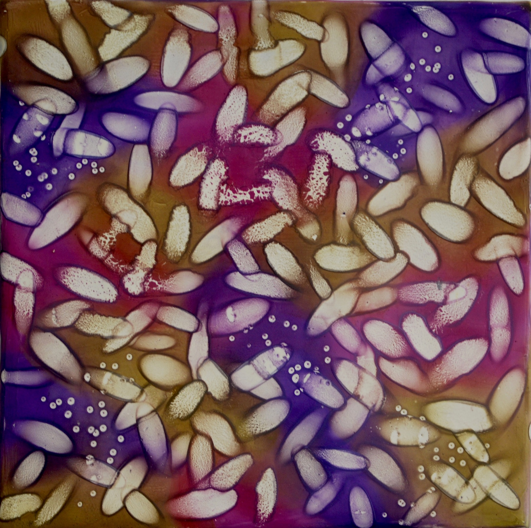 K. Hartung, Cell Patterns 10 , encaustic and mixed media, 8x8x2