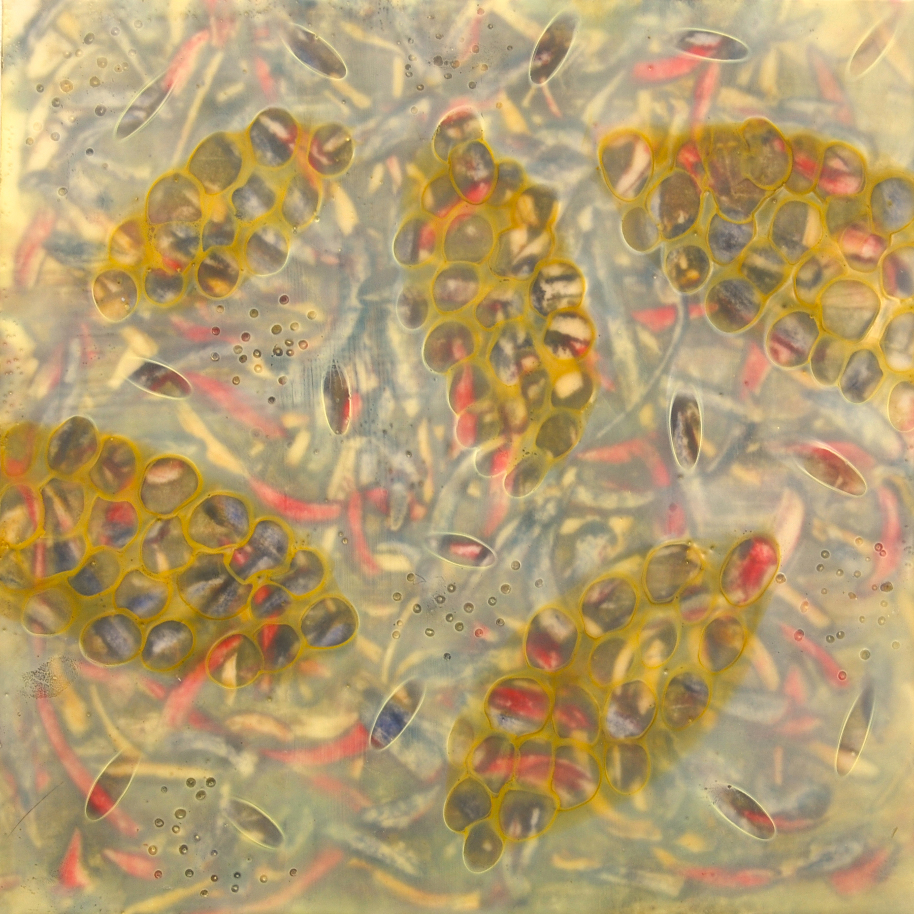 K. Hartung, Entanglements 8 , encaustic and mixed media, 12x12