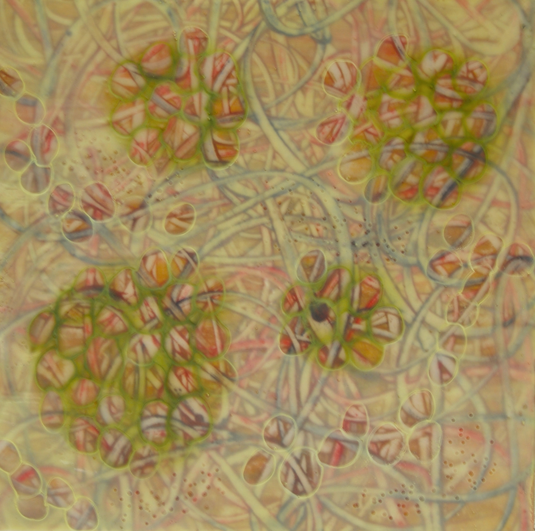 K. Hartung, Entanglements 9 , encaustic and mixed media, 12x12