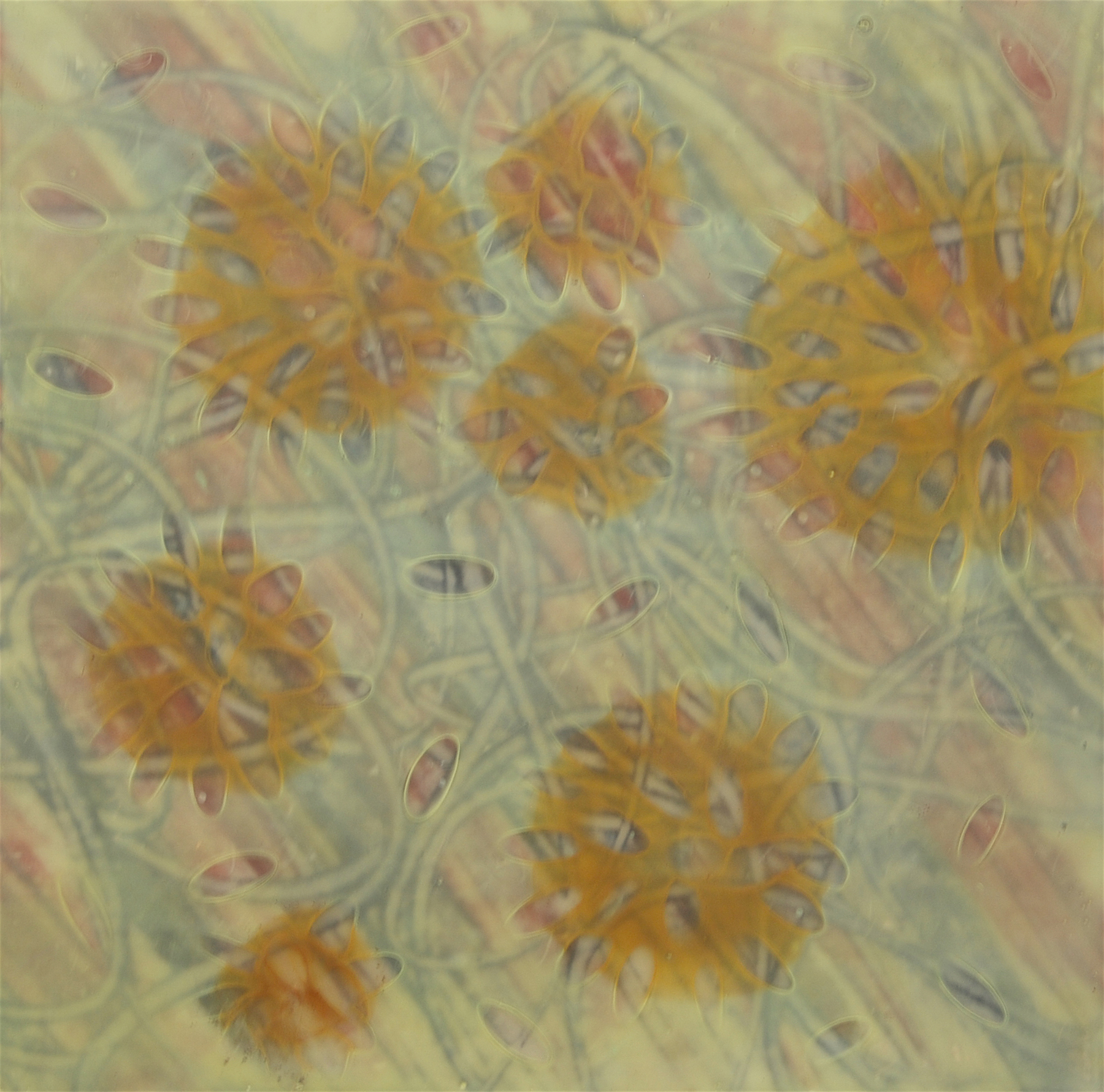 K. Hartung, Entanglements 10 , encaustic and mixed media, 12x12