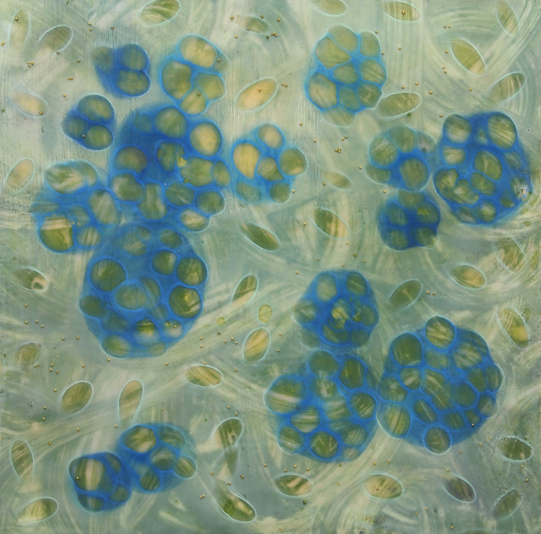 Kay Hartung, Entanglements 11 , encaustic and mixed media, 12x12