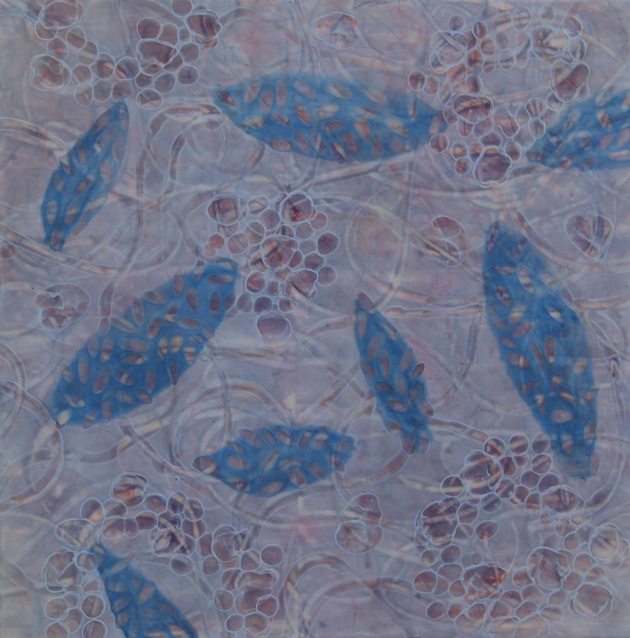 K. Hartung, Entanglements 16 , encaustic and mixed media, 24x24
