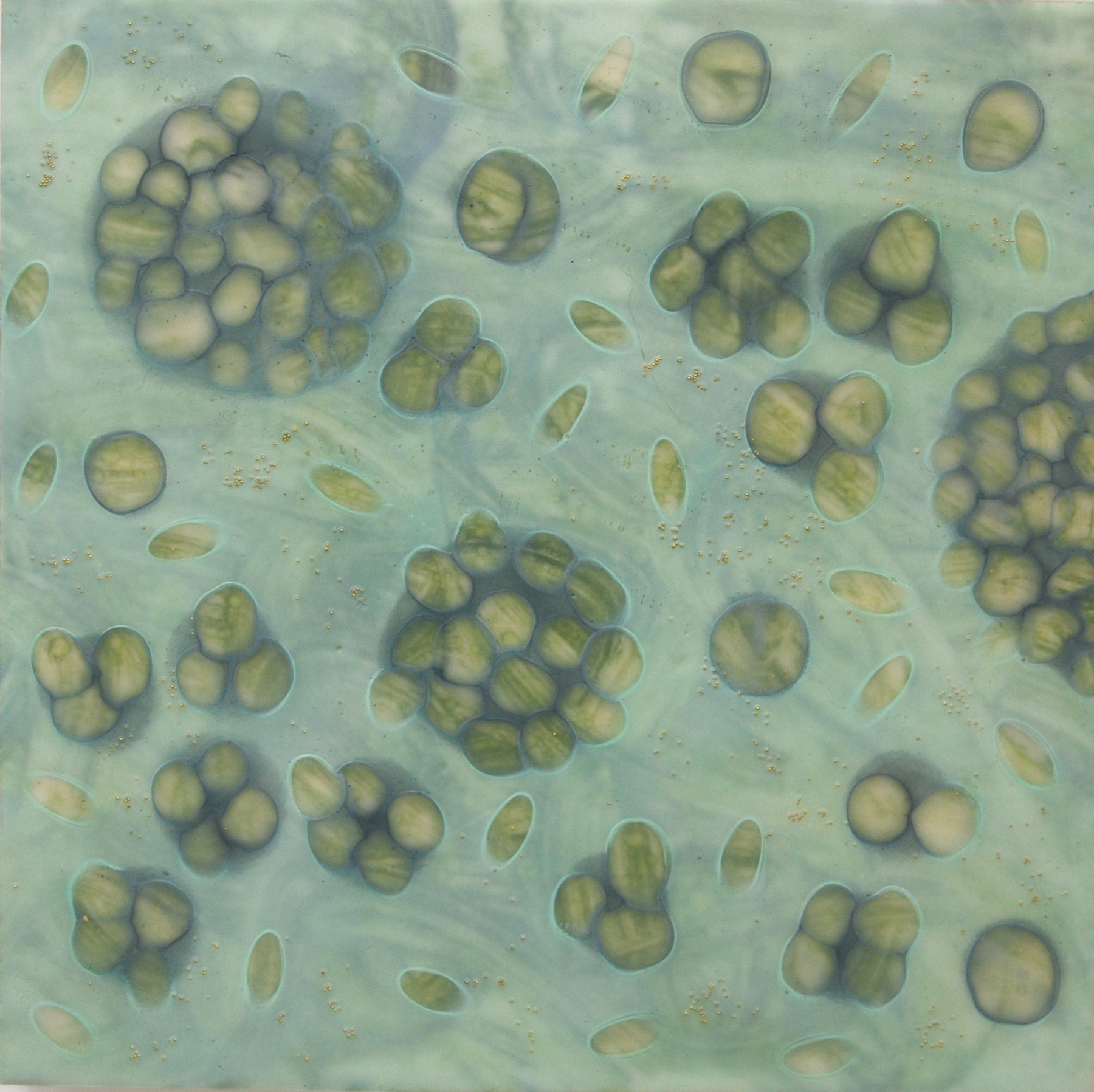 K. Hartung, Entanglements 12 , encaustic and mixed media, 12x12