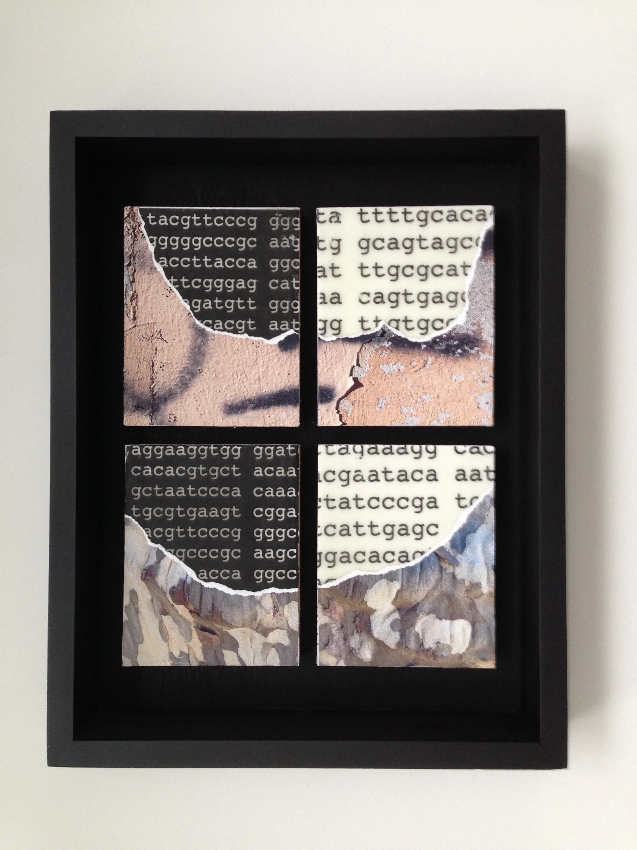 Untitled (Reveal), 2017, Collage & transfer on wood, 14 x 11 x 2 inch framed.