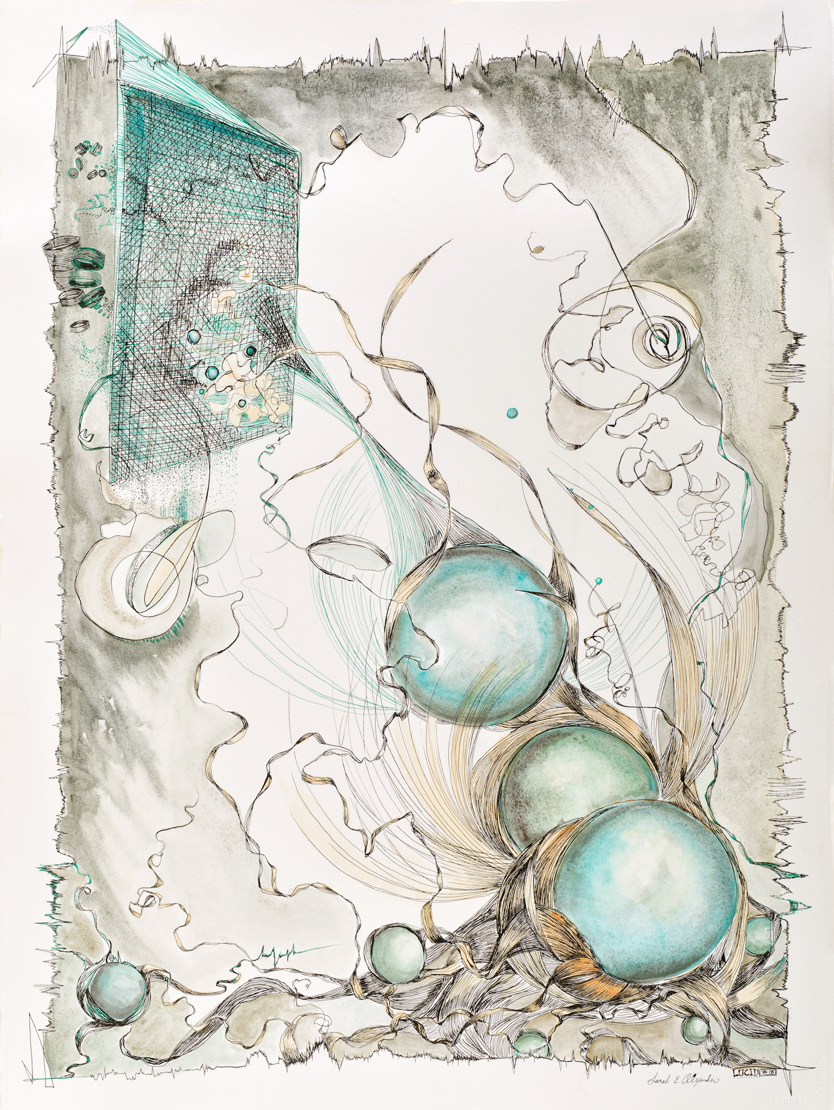 Sarah Alexander, Just Passing Through , 22"x30", Ink and Watercolor on Paper