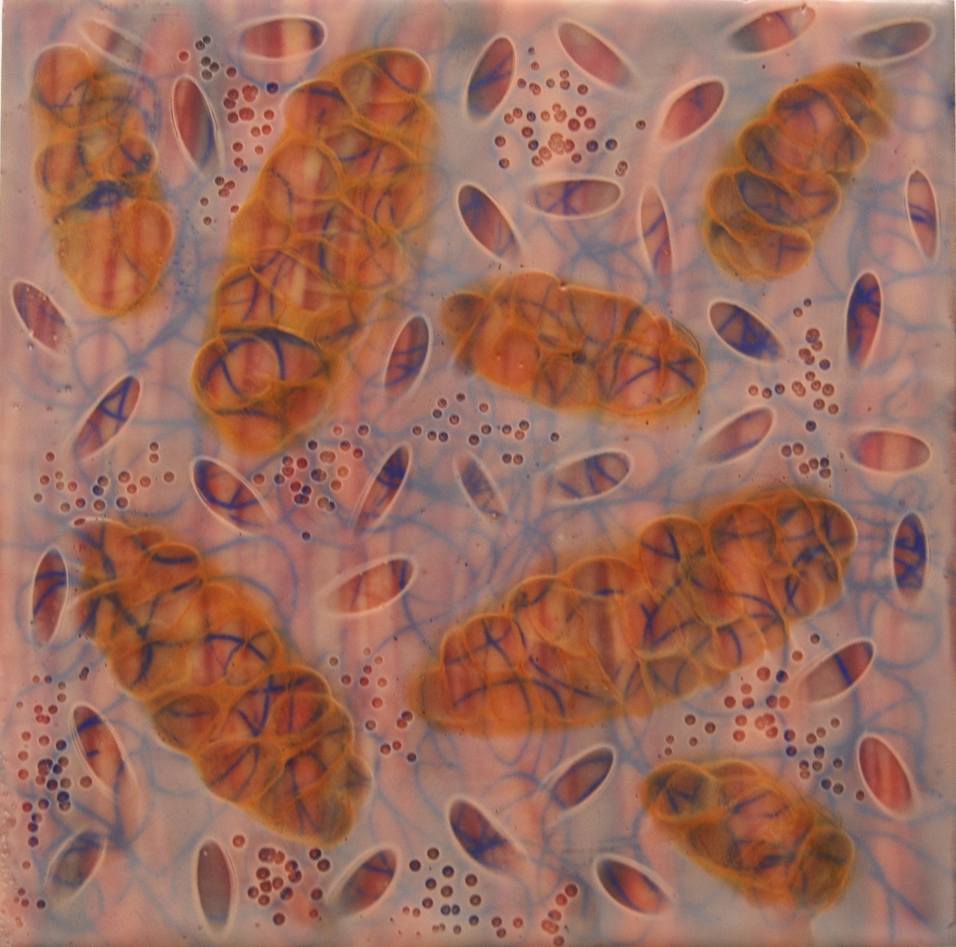Kay Hartung, Tangle 4 , encaustic and mixed media, 8x8