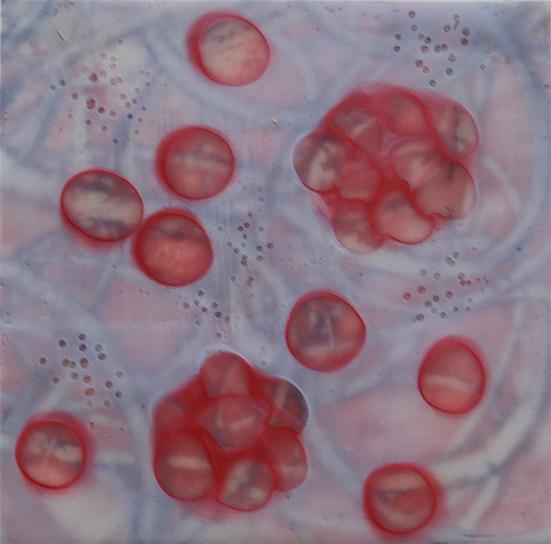 K. Hartung, Tangle 14 , Encaustic and mixed media, 6x6