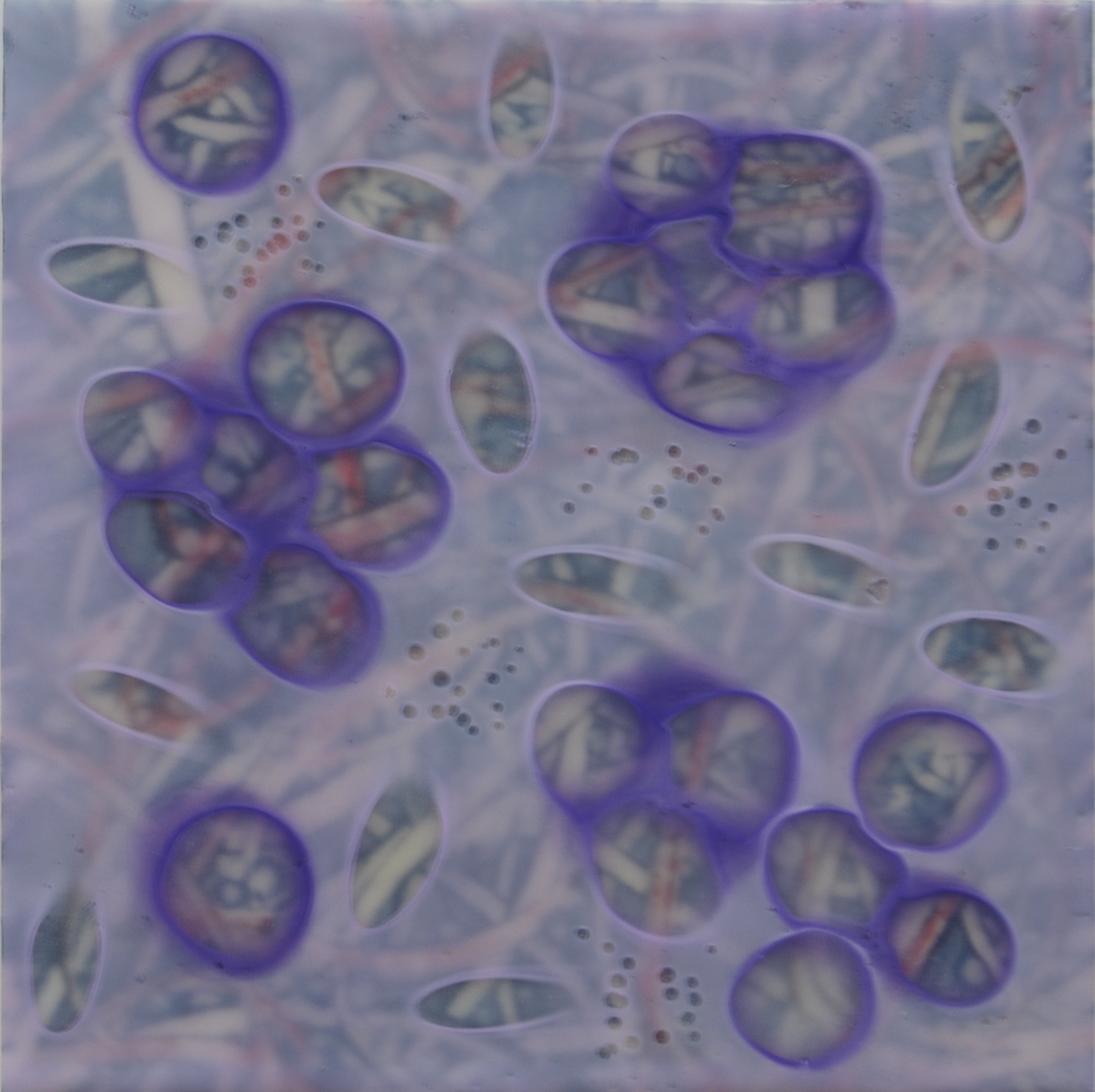 K. Hartung, Tangle 6 , encaustic and mixed media, 6x6