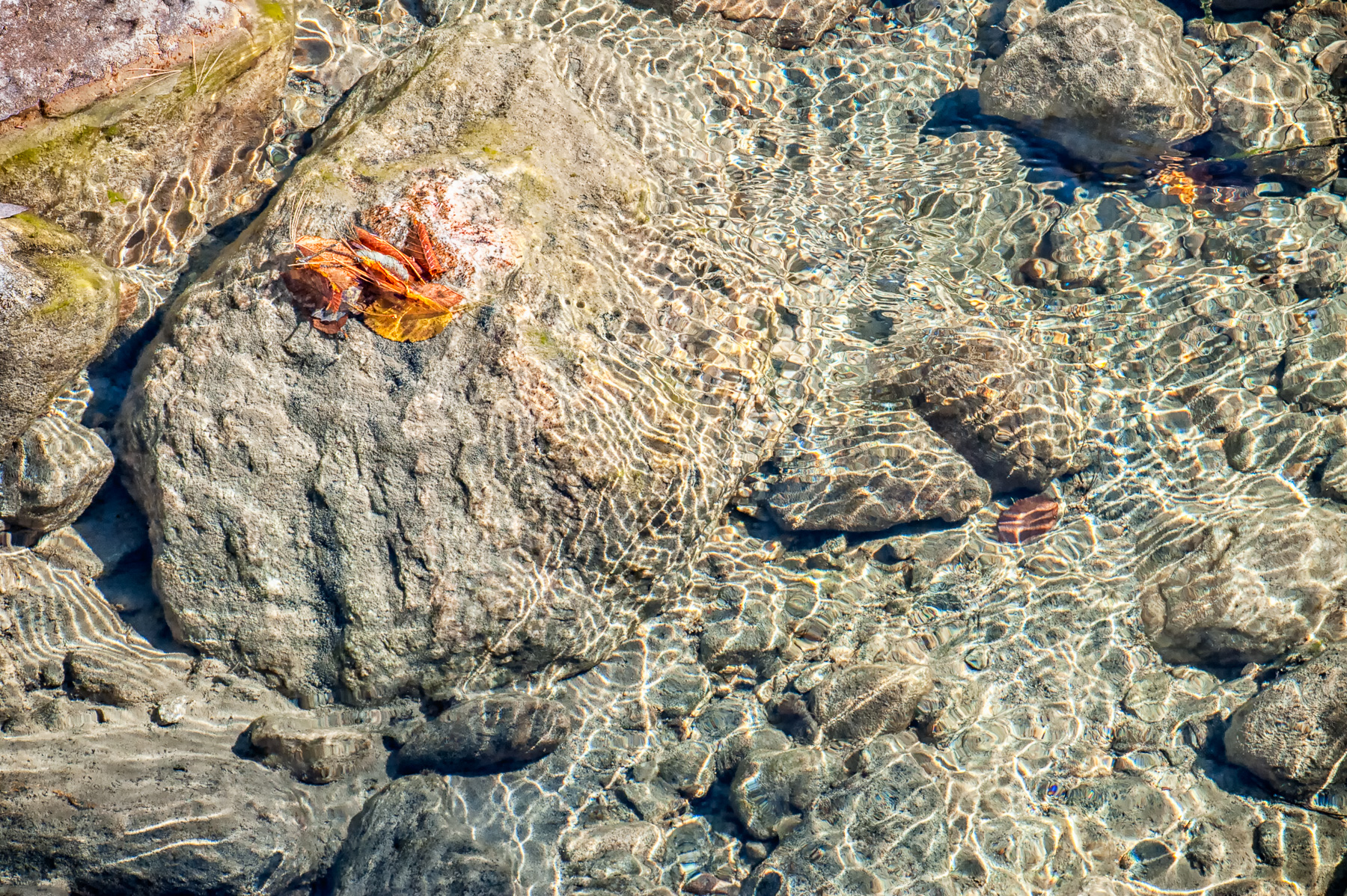 Linda DeStefano Brown, Ripples, Digital photograph, 24x18, $600