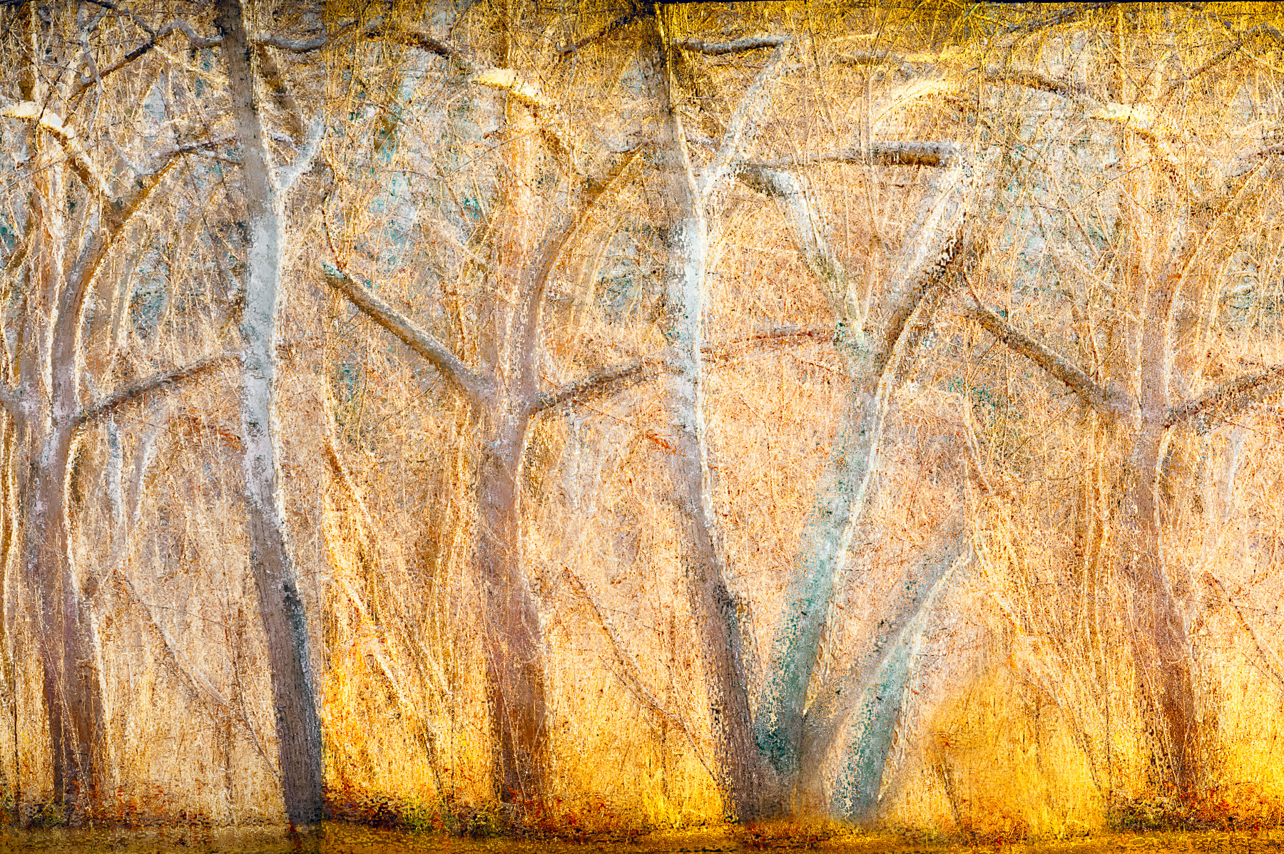 Linda DeStefano Brown, Shimmering LIght, Digital photograph, 24x18