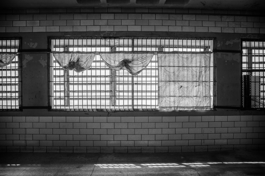 Through the Lens of Rebecca Skinner