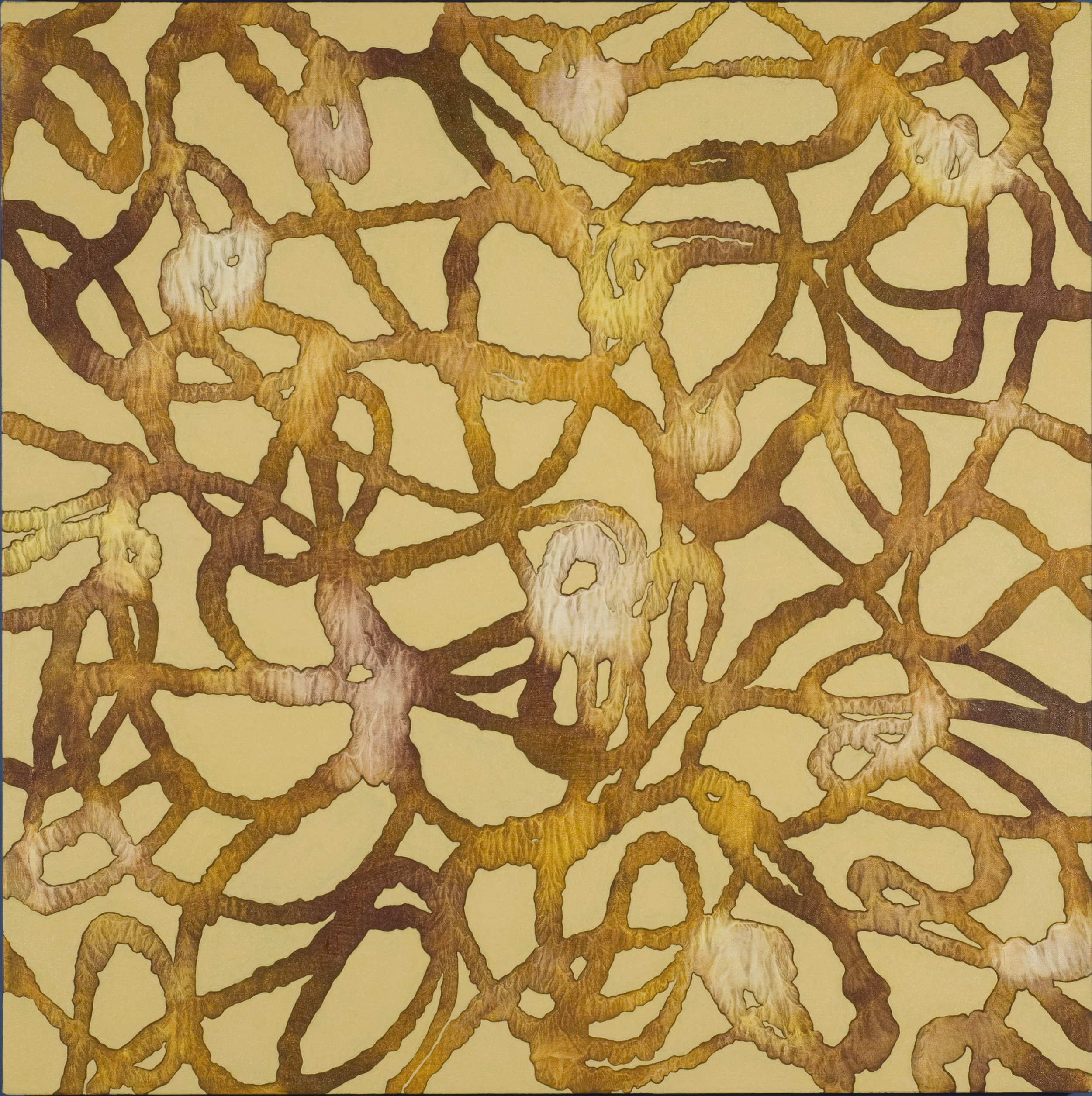Catherine Carter, Golden Tendrils , Acrylic on canvas, 40x40
