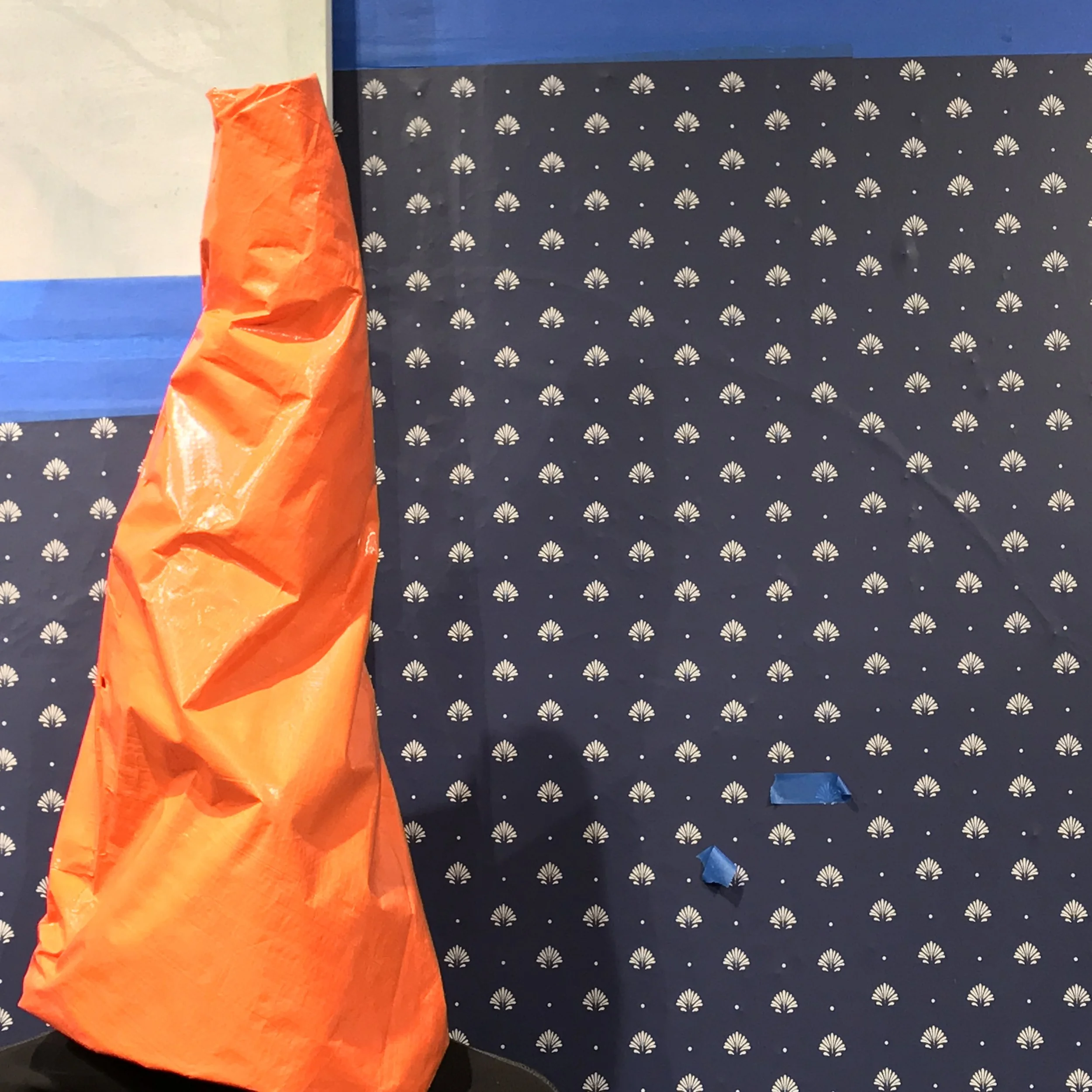 Blue Tarp Project Redux