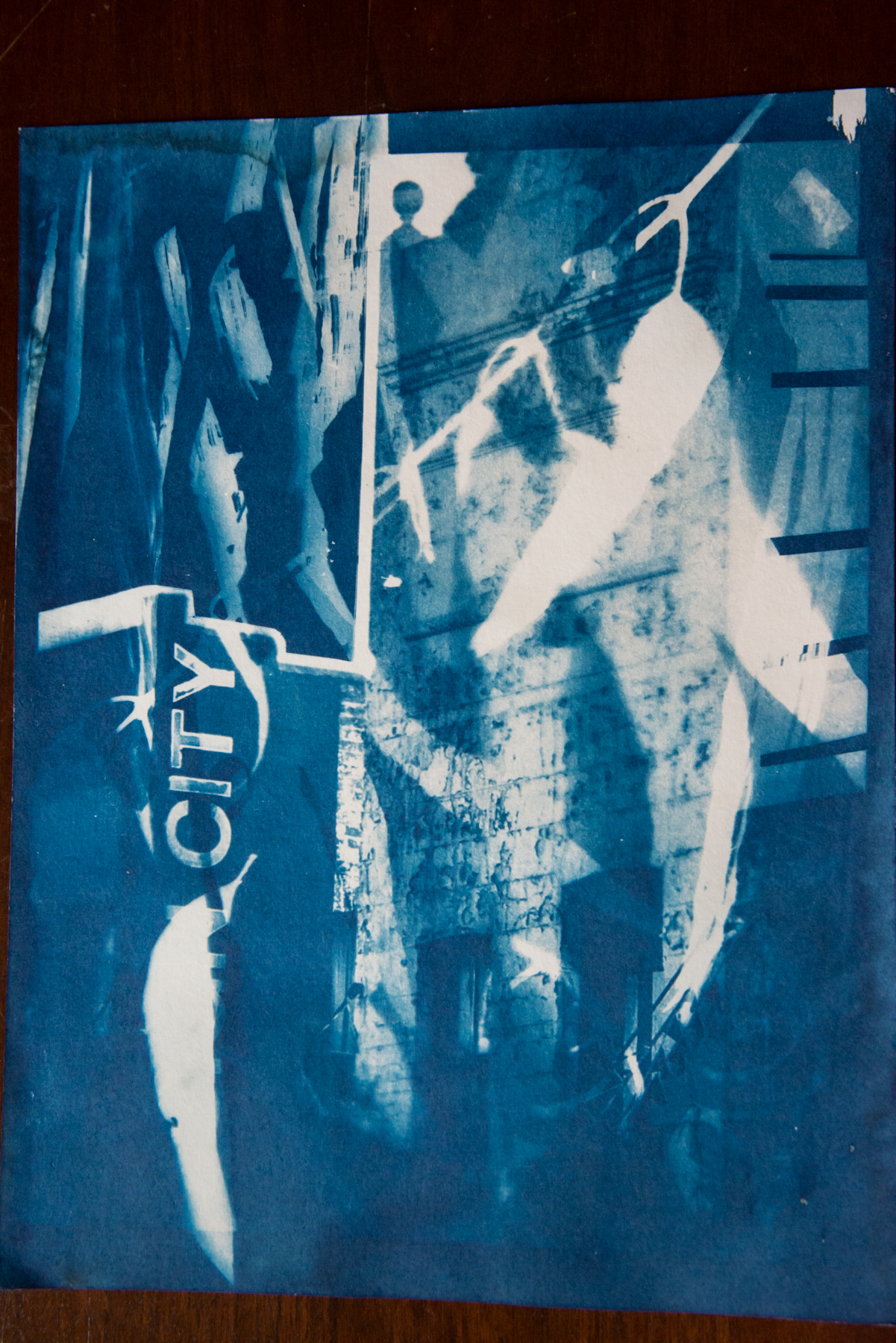  Marie Craig,  Sign City 3,  cyanotype on paper, 17x14, framed 