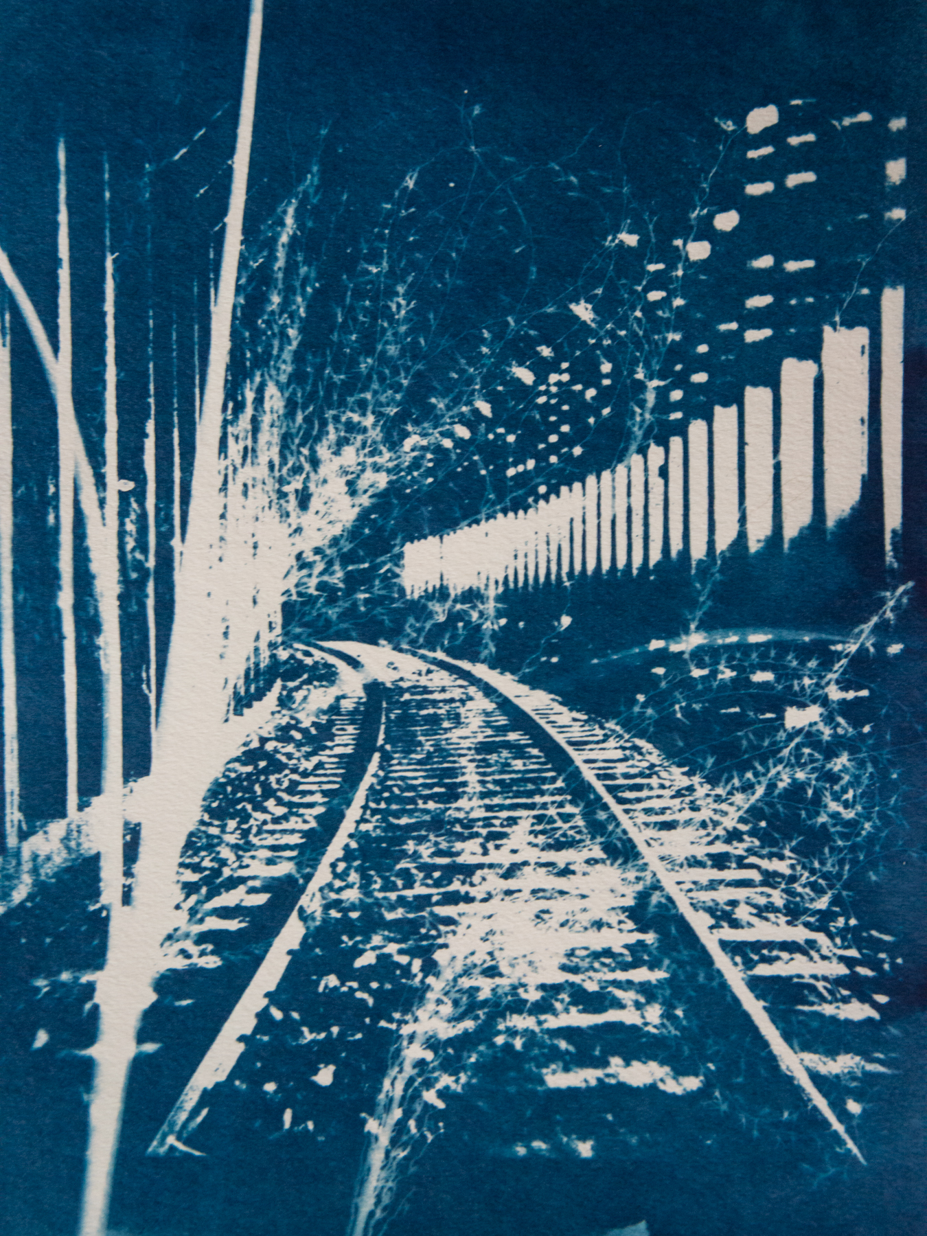  Marie Craig,  Railway Tunnel 5,  cyanotype on paper, 12x9 