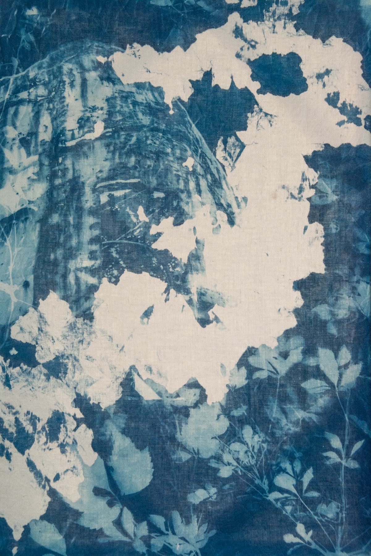  Marie Craig,  Crane 2,  cyanotype on linen stretched over canvas, 36x24 