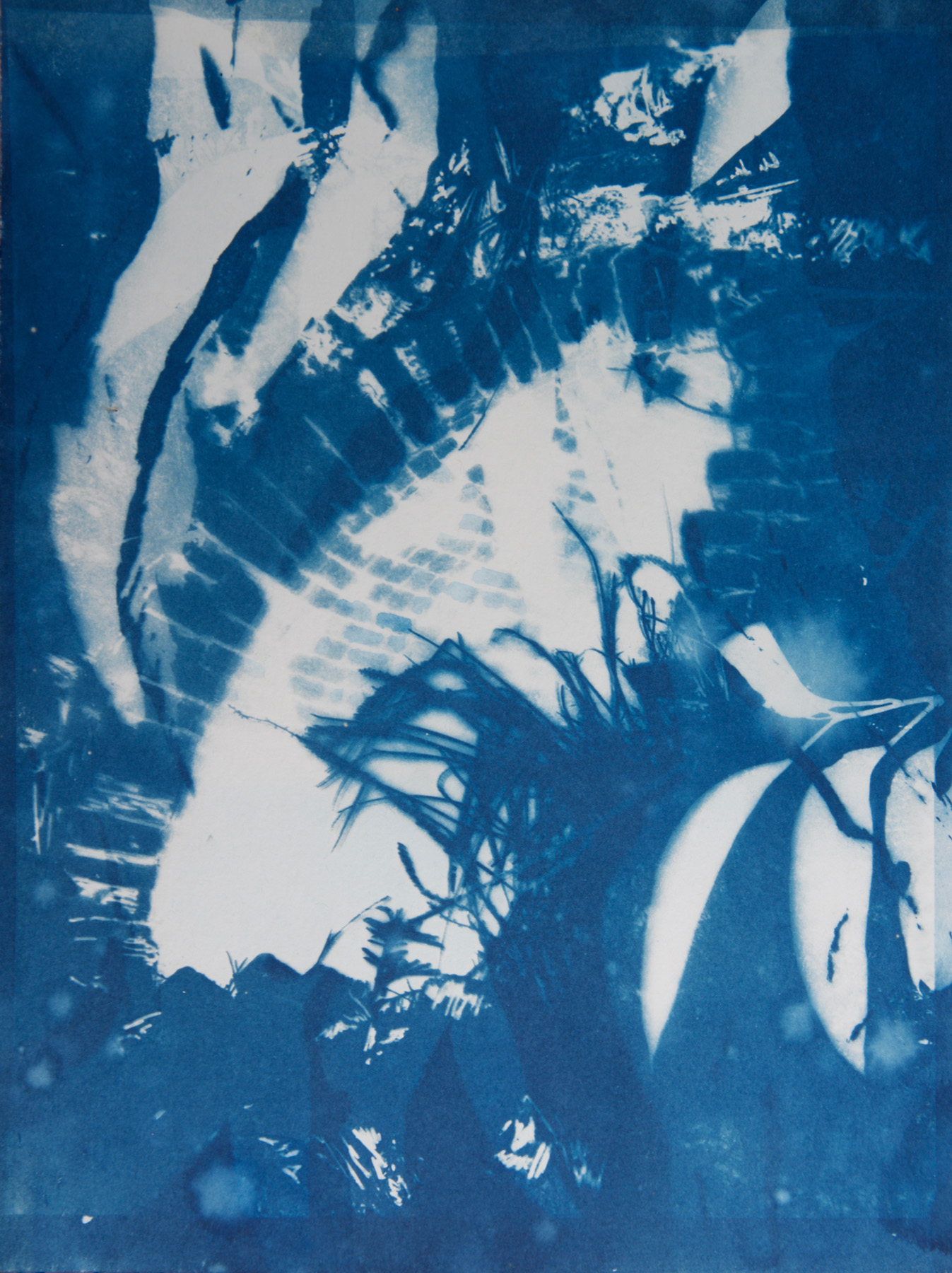  Marie Craig,  Newness Oven 2 ,&nbsp;cyanotype on paper, 12x9 