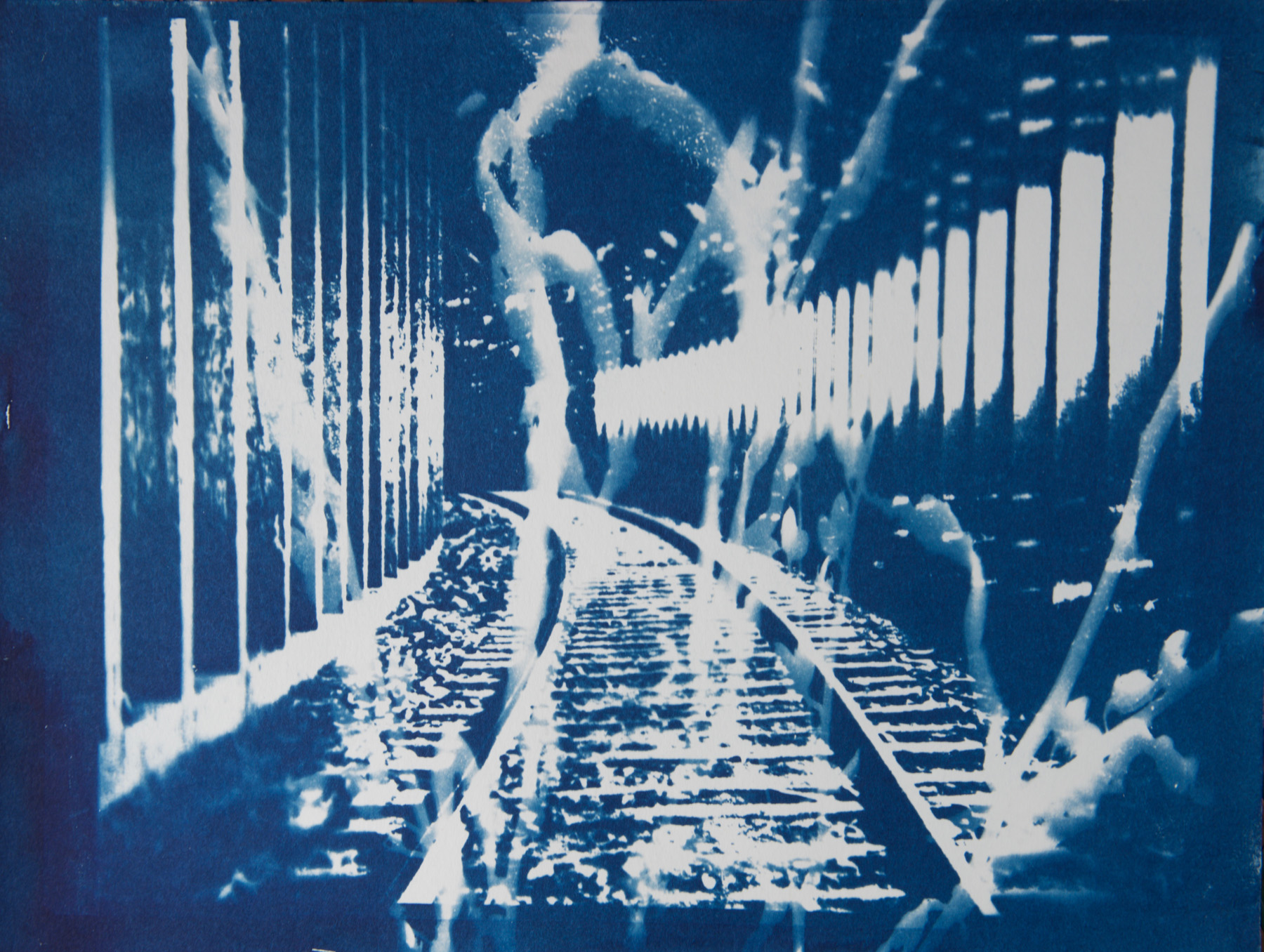  Marie Craig,  Railway Tunnel 1 ,&nbsp;cyanotype on paper, 14x17, framed 