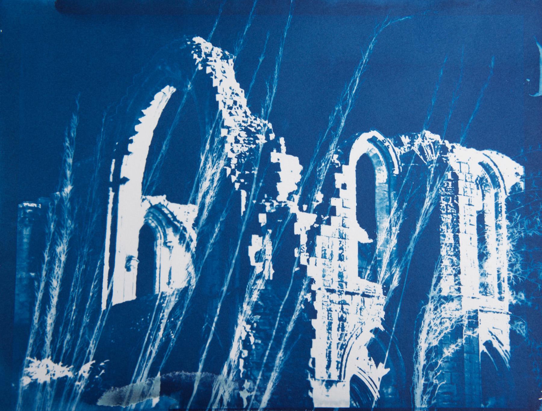 Fountains Abbey 1 , cyanotype on paper, 9" x 12"