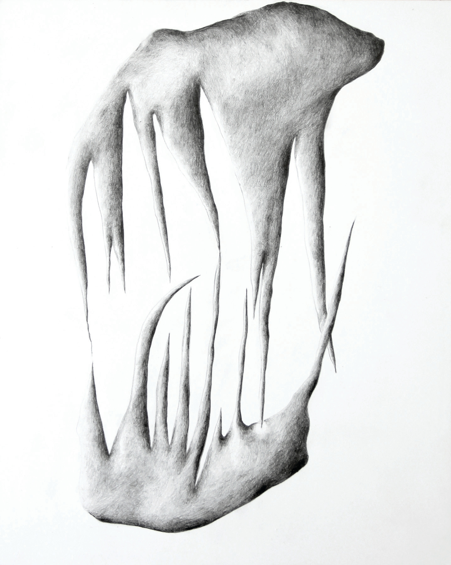  Gabriella Carboni,&nbsp; Prick ,&nbsp;graphite on claybord,&nbsp;8 x 10,&nbsp;$250 