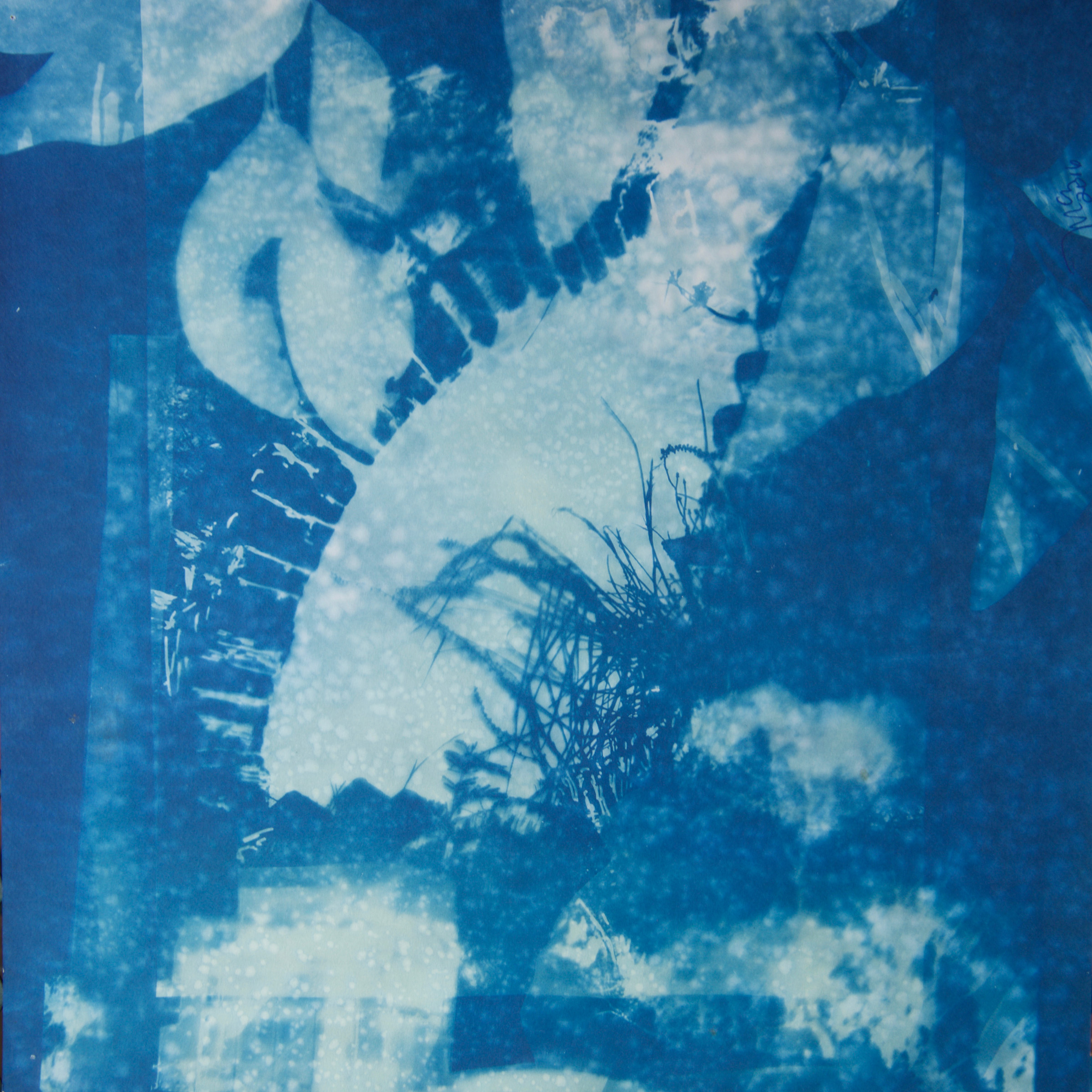  Marie Craig,  Newnes Oven 3 , cyanotype on paper, 18" x 18" 