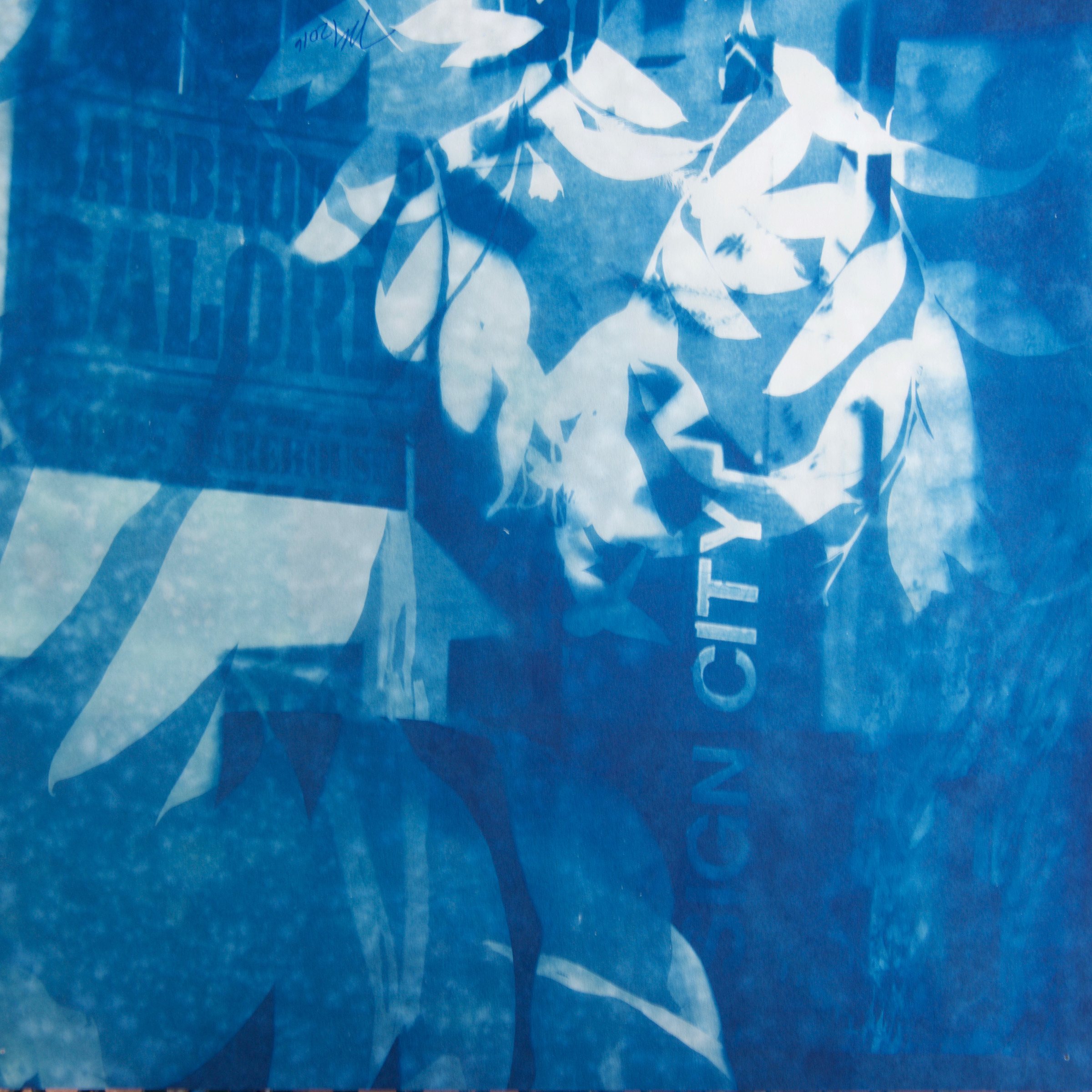  Marie Craig,  Sign City Galore,  cyanotype on paper, 18" x 18" 