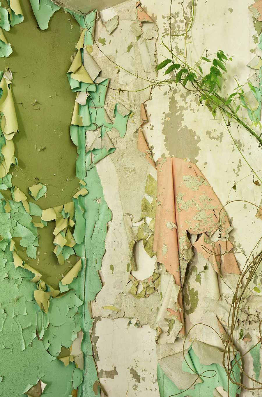 Rebecca Skinner, Rise , photograph on aluminum, 24" x 16"