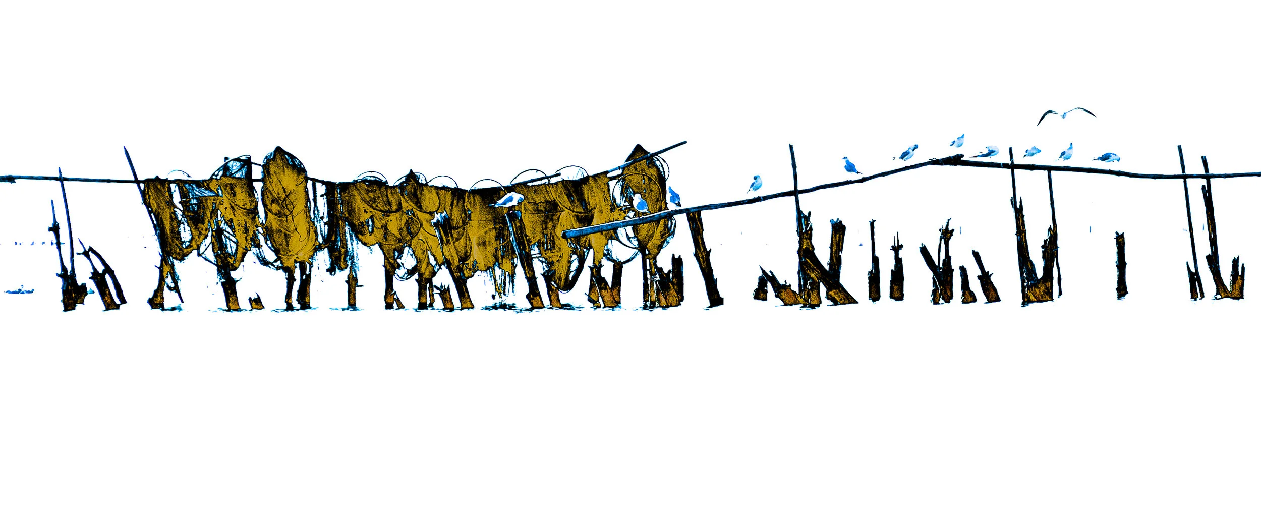 Vicki McKenna, Fishing Weirs of the Camargue , archival pigment print, 14" x 22"