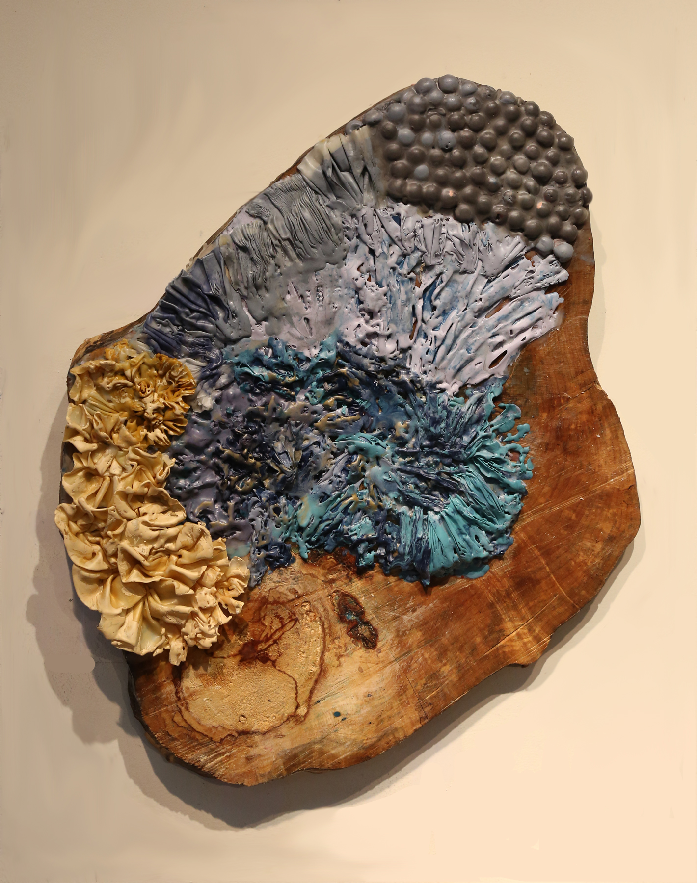 Weber_Blue_and_Gold_Lichen.jpg