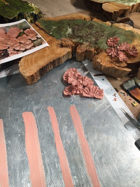 Pink Scalloped Lichen in Process