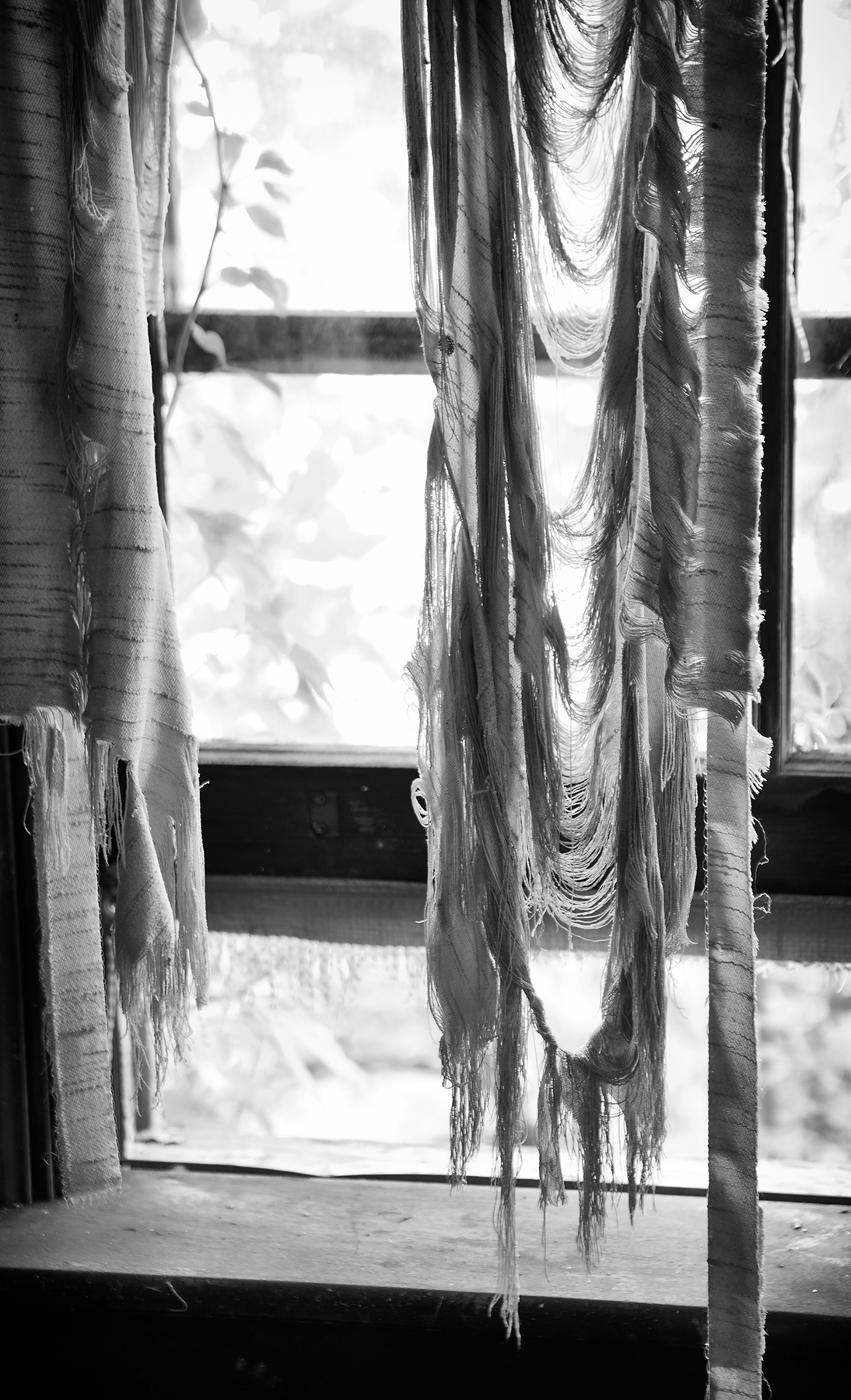 Rebecca Skinner, Tattered, Photograph on Aluminum, Edition of 10