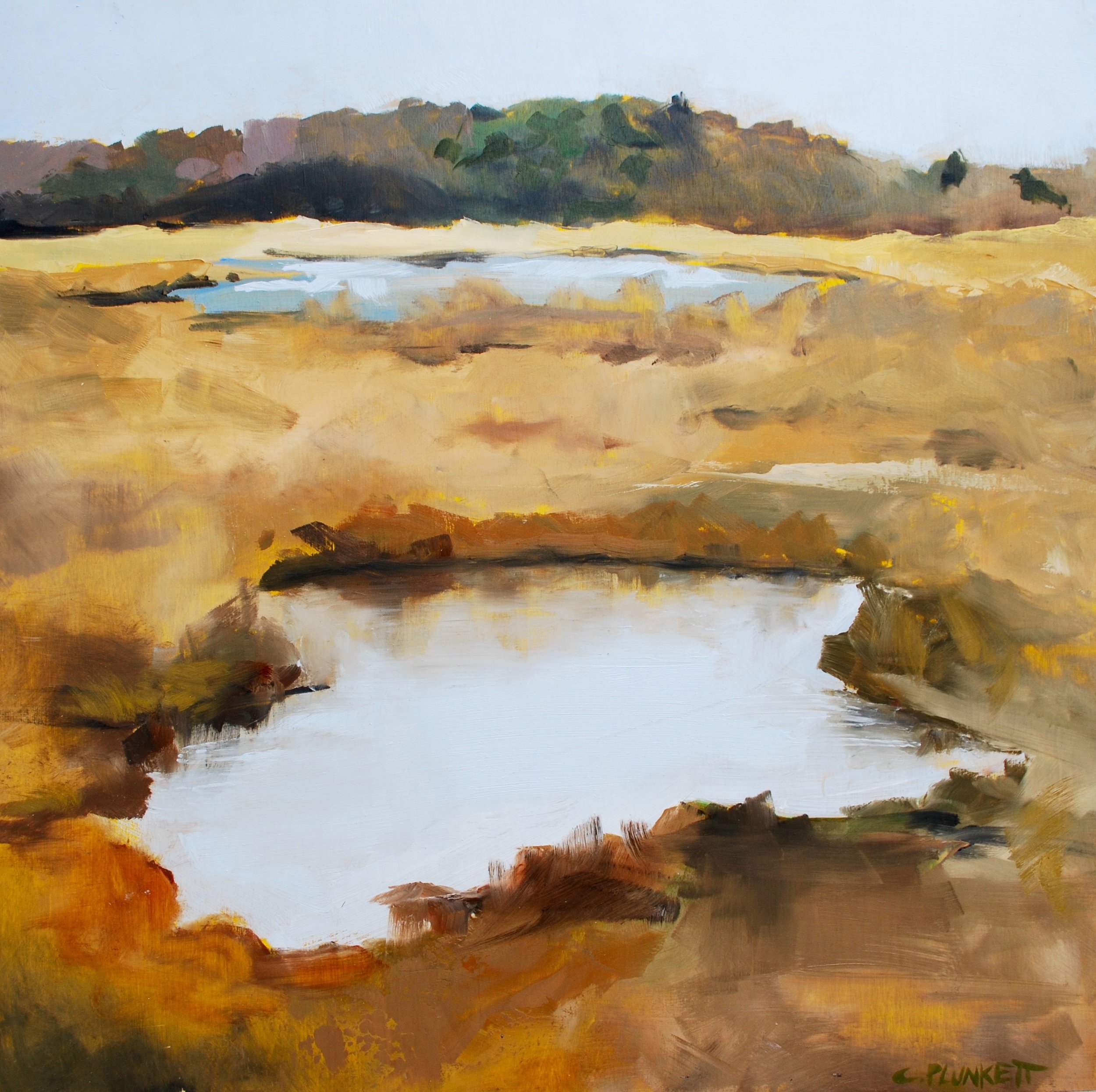  Chris Plulnkett,  Neponset River #3 , Oil on wood panel, 24x24 