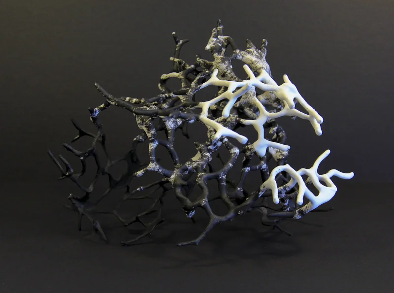 Unturned: Shao Yuan Zhang &amp; Fafnir Adamites Fountain Street Gallery