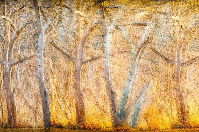 “Shimmering Light” by Linda DeStefano Brown