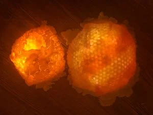 November in the Annex