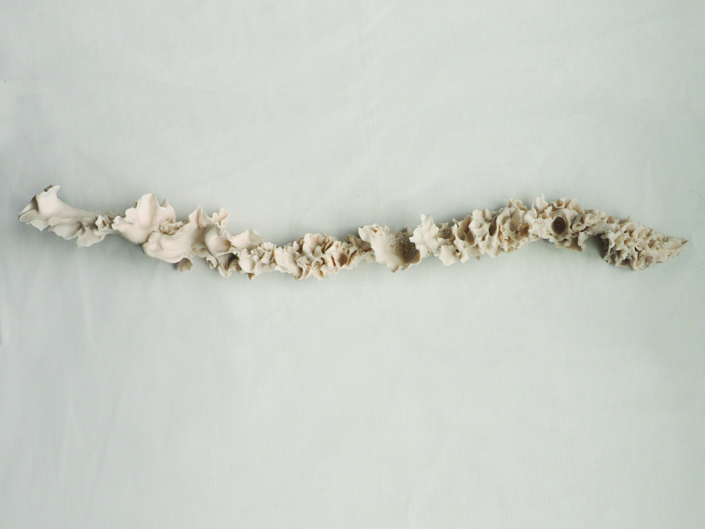  Mathilda LaZelle,  September–9/18/18 2pm 56 degrees , unglazed porcelain, 4”x26”x5” 