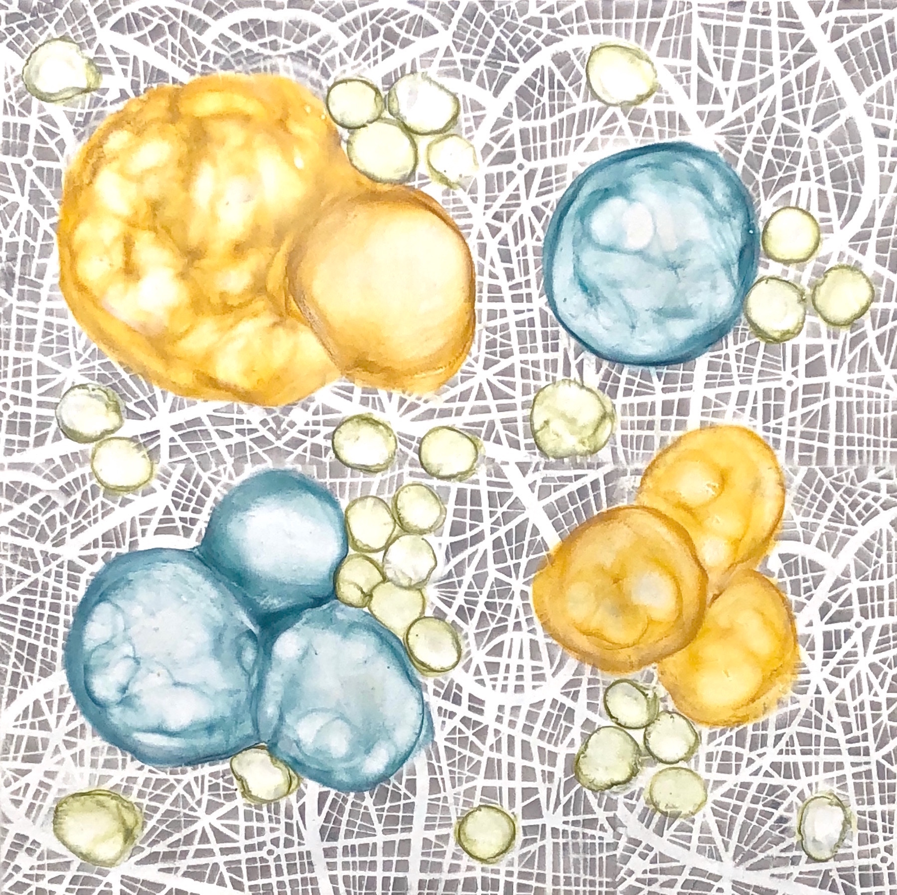 Hartung, Bio Networks 5 , Encaustic, pastel, 16x16