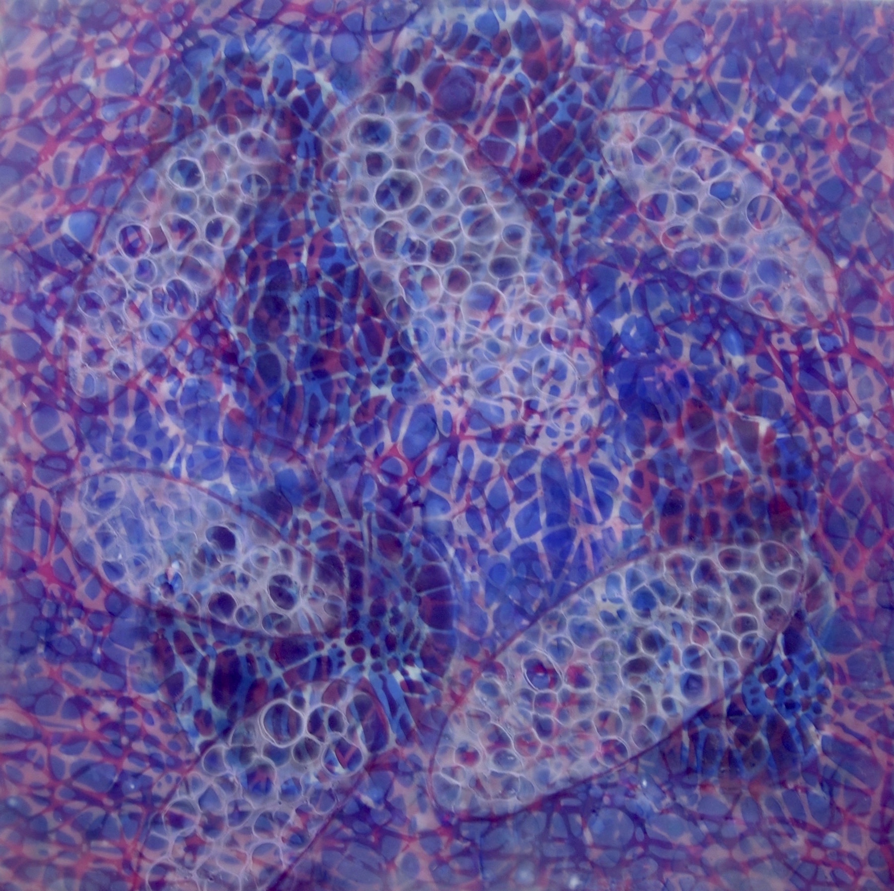  Hartung,  Bio Patterns 9 , Encaustic, pastel, 20x20 